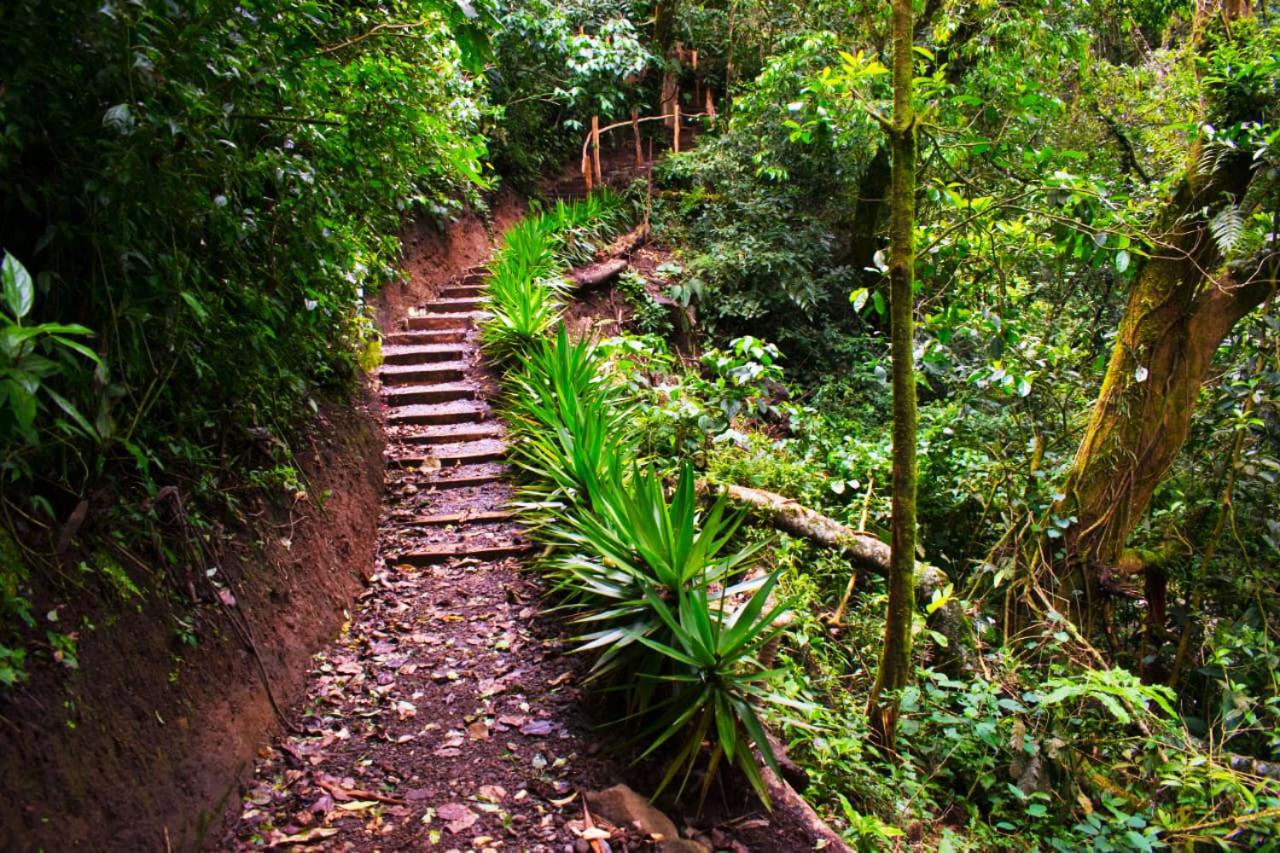 Cabañas Emerald Forest