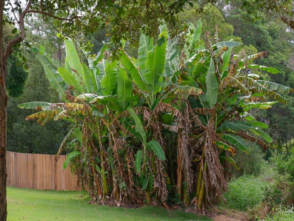 Hinterland Haven with Heated Pool & Lush Surrounds