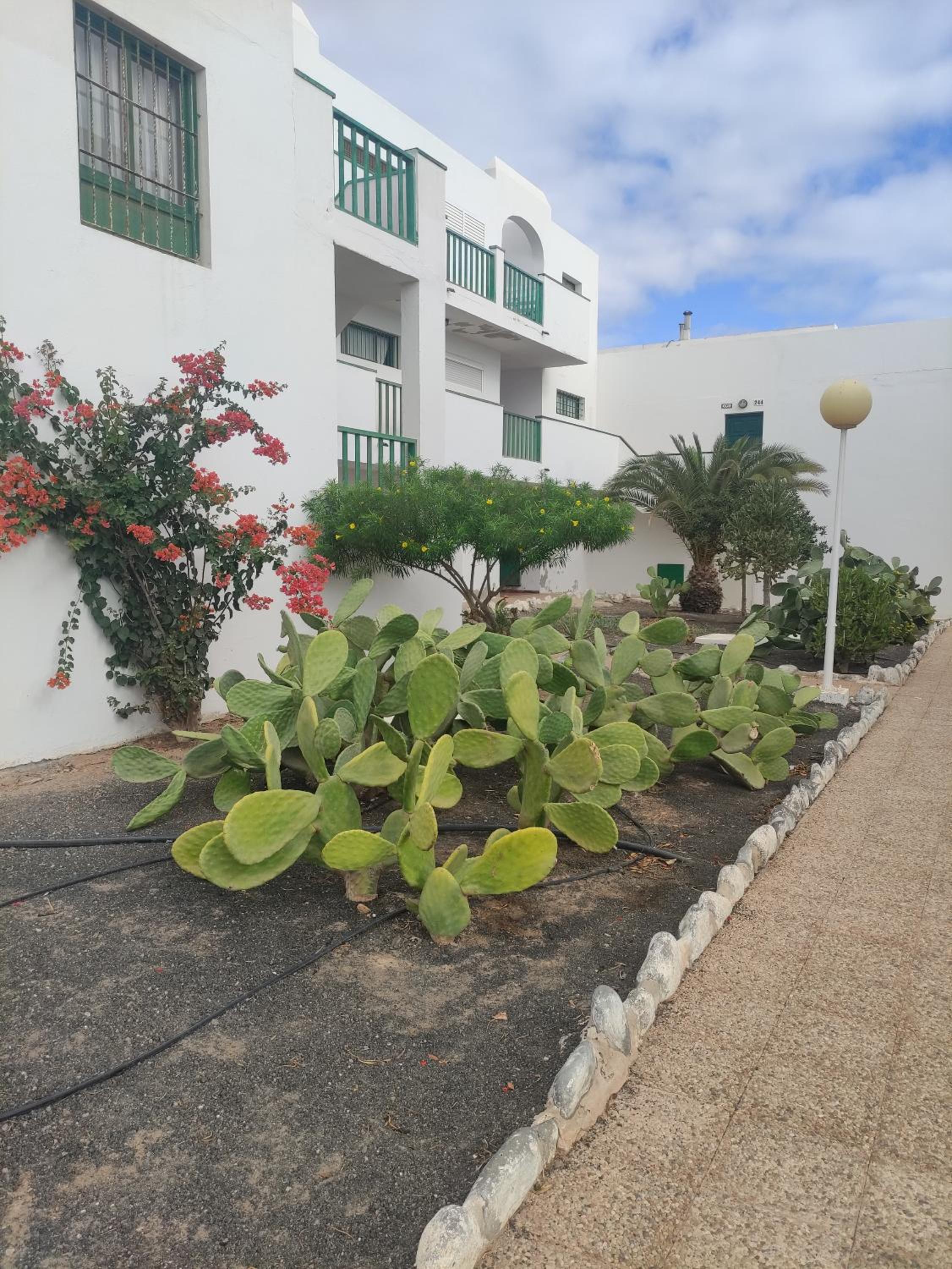 Casita perla blanca