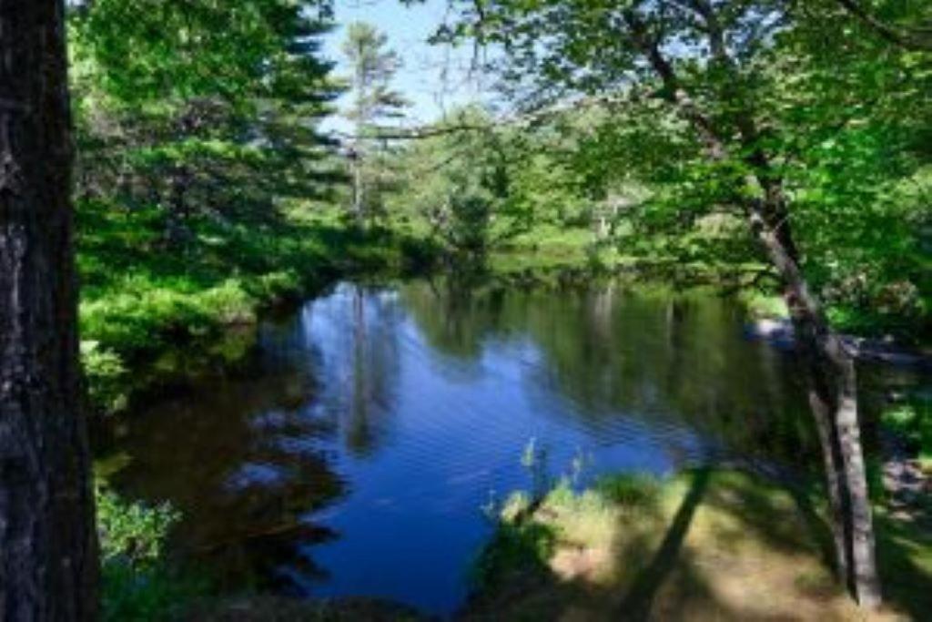 2 Bedroom Waterview Cottage Fern Brook 12