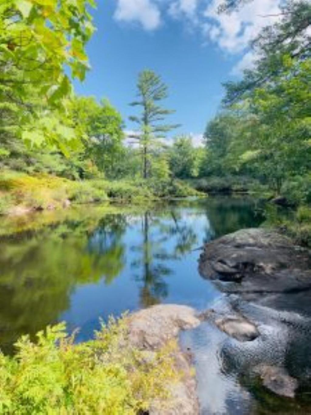 2 Bedroom Waterview Cottage Fern Brook 12