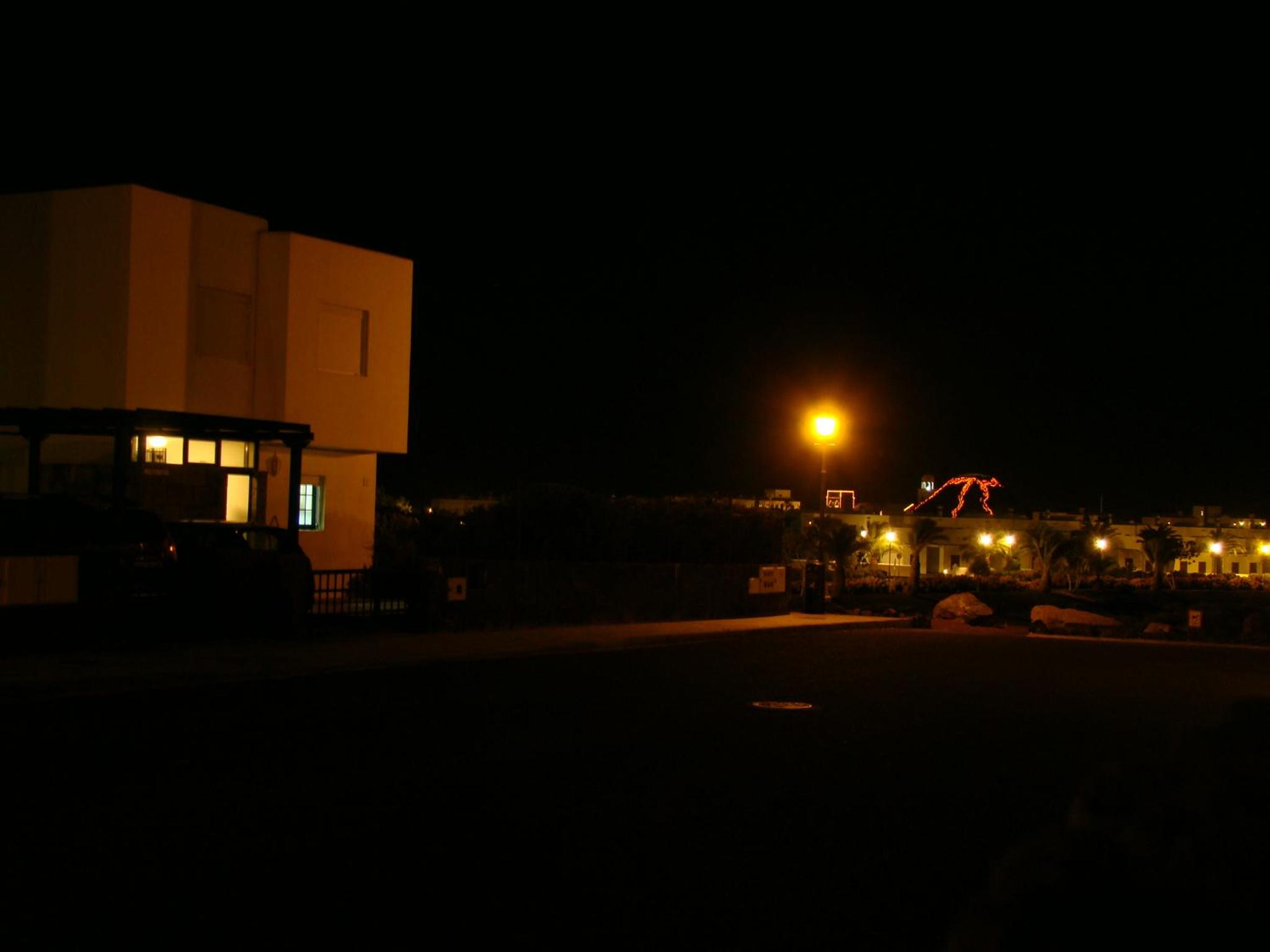 Photo 47