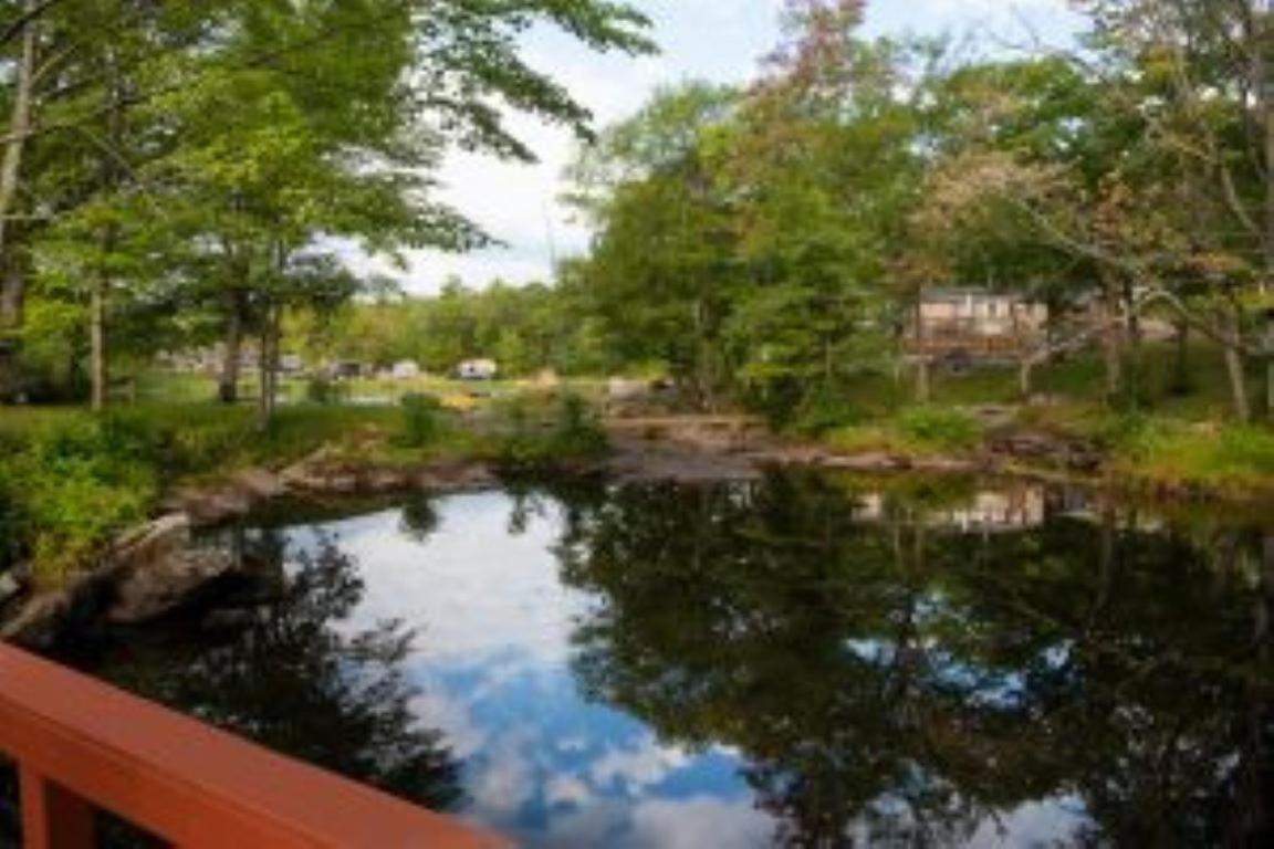2 Bedroom Waterview Cottage Fern Brook 8