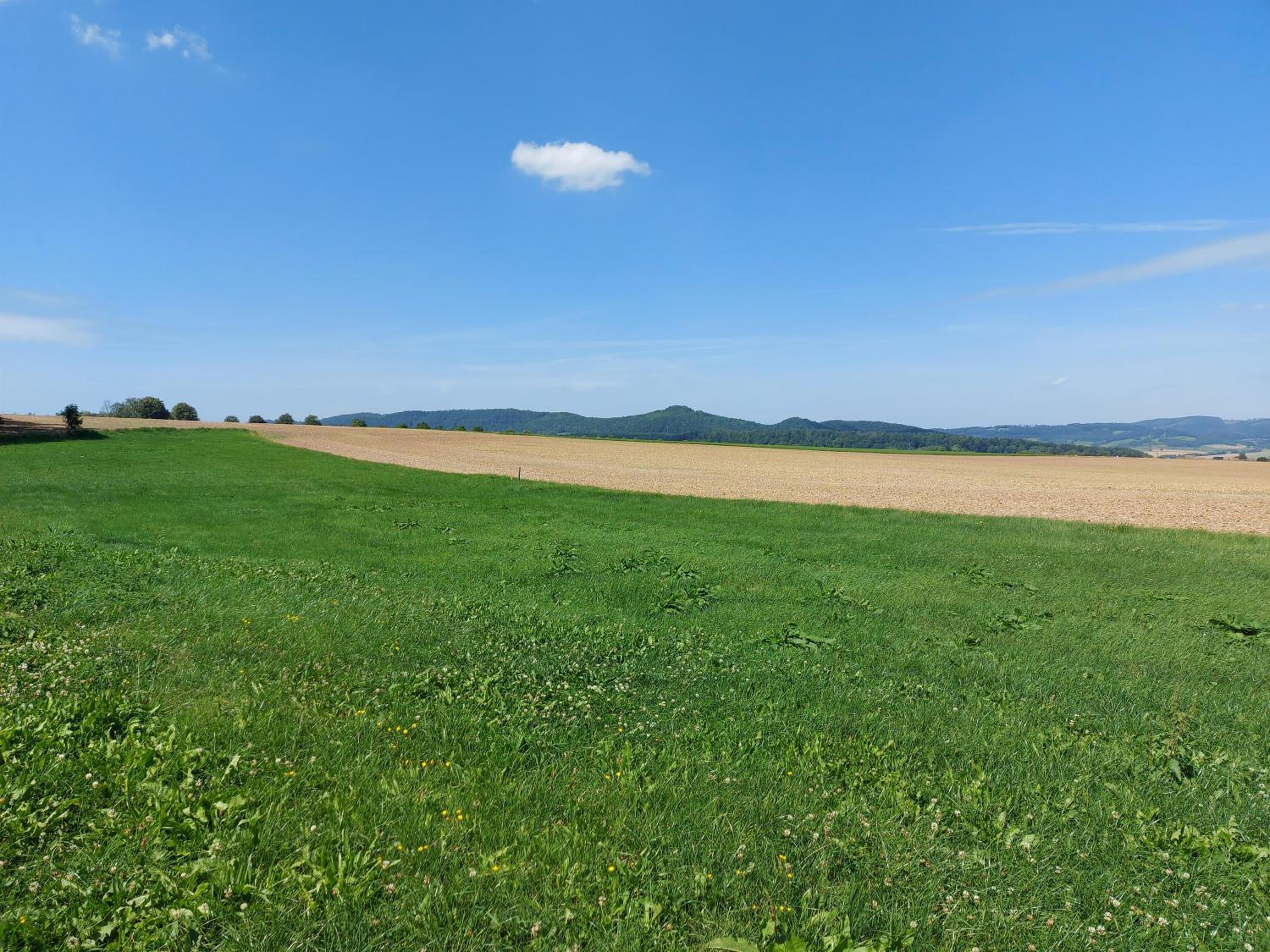 Weitblickidyll