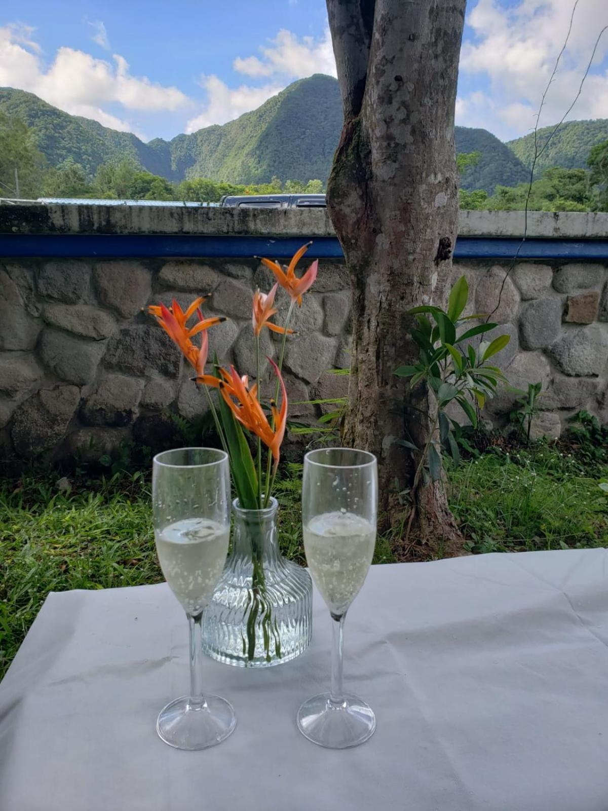 La Maison d' Ivonne view 5