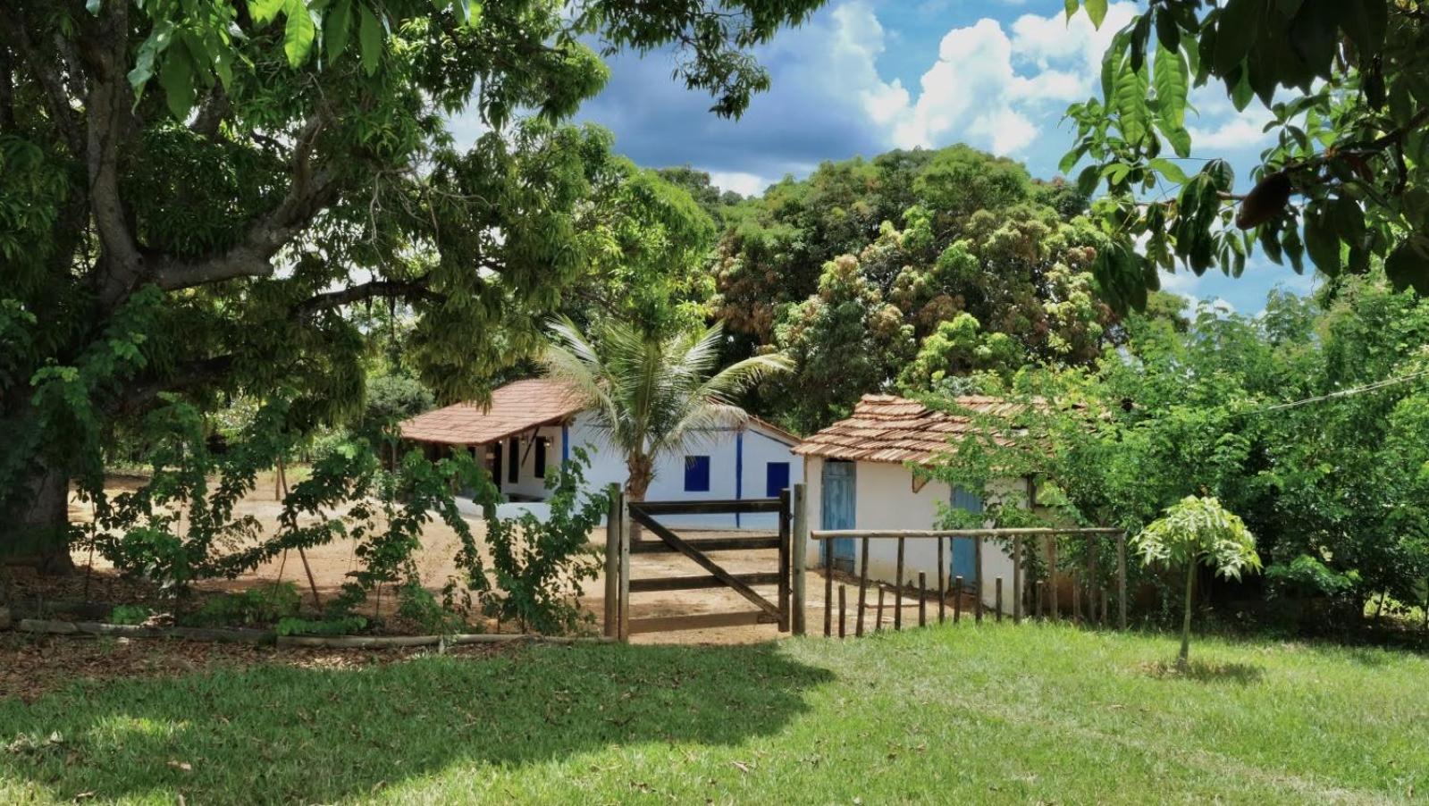 Fazendinha Rústica com Piscina Próxima a Curvelo