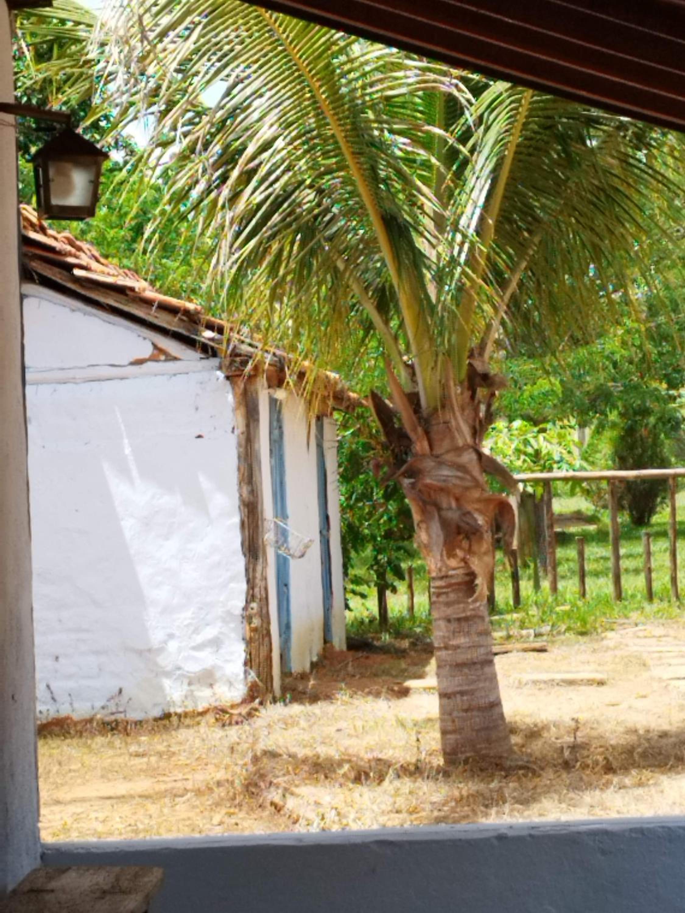 Fazendinha Rústica com Piscina Próxima a Curvelo