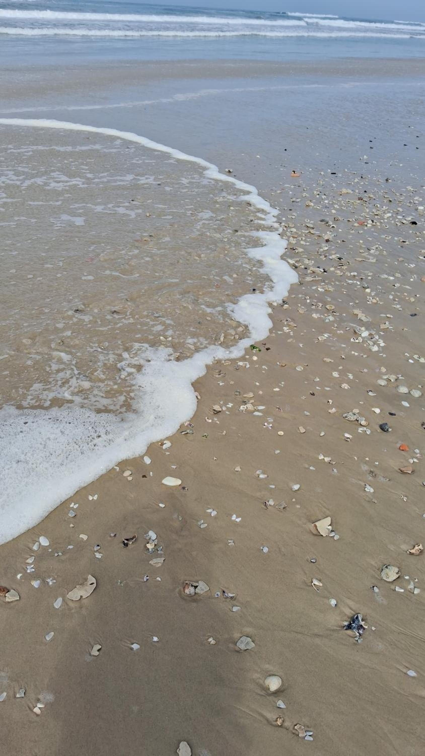 Chalés Lar Doce Mar Camacho SC