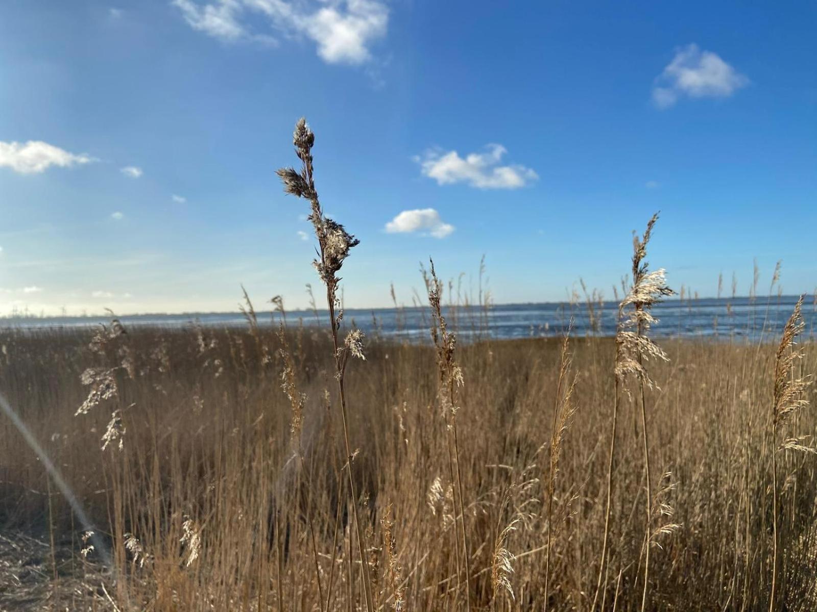 Moderne Ferienwohnung Meerestraum in Dangast