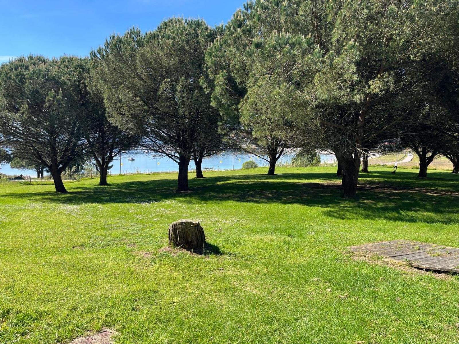 Piso Portonovo Baltar