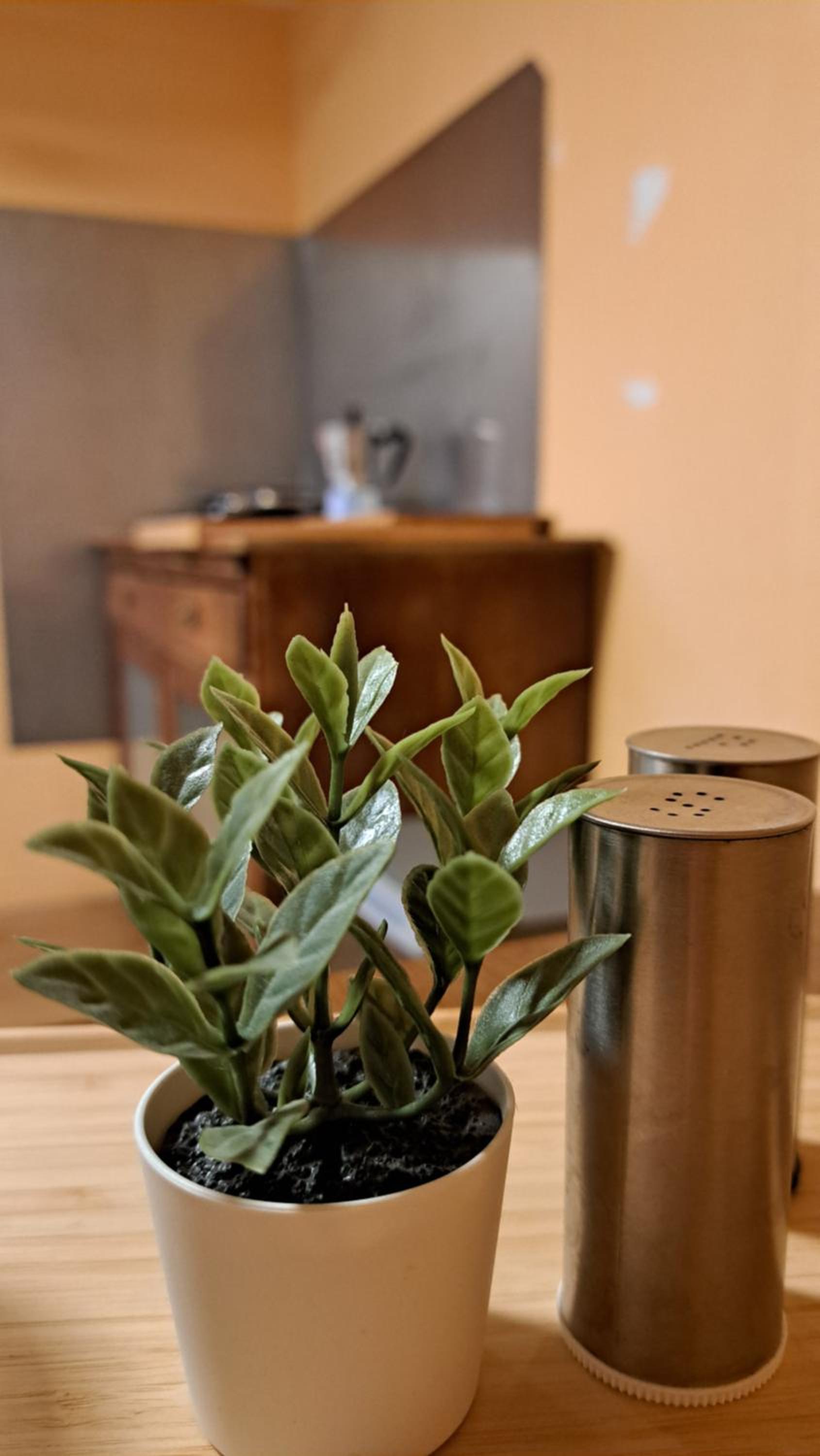 Baers Mountain Stay Außerbraz