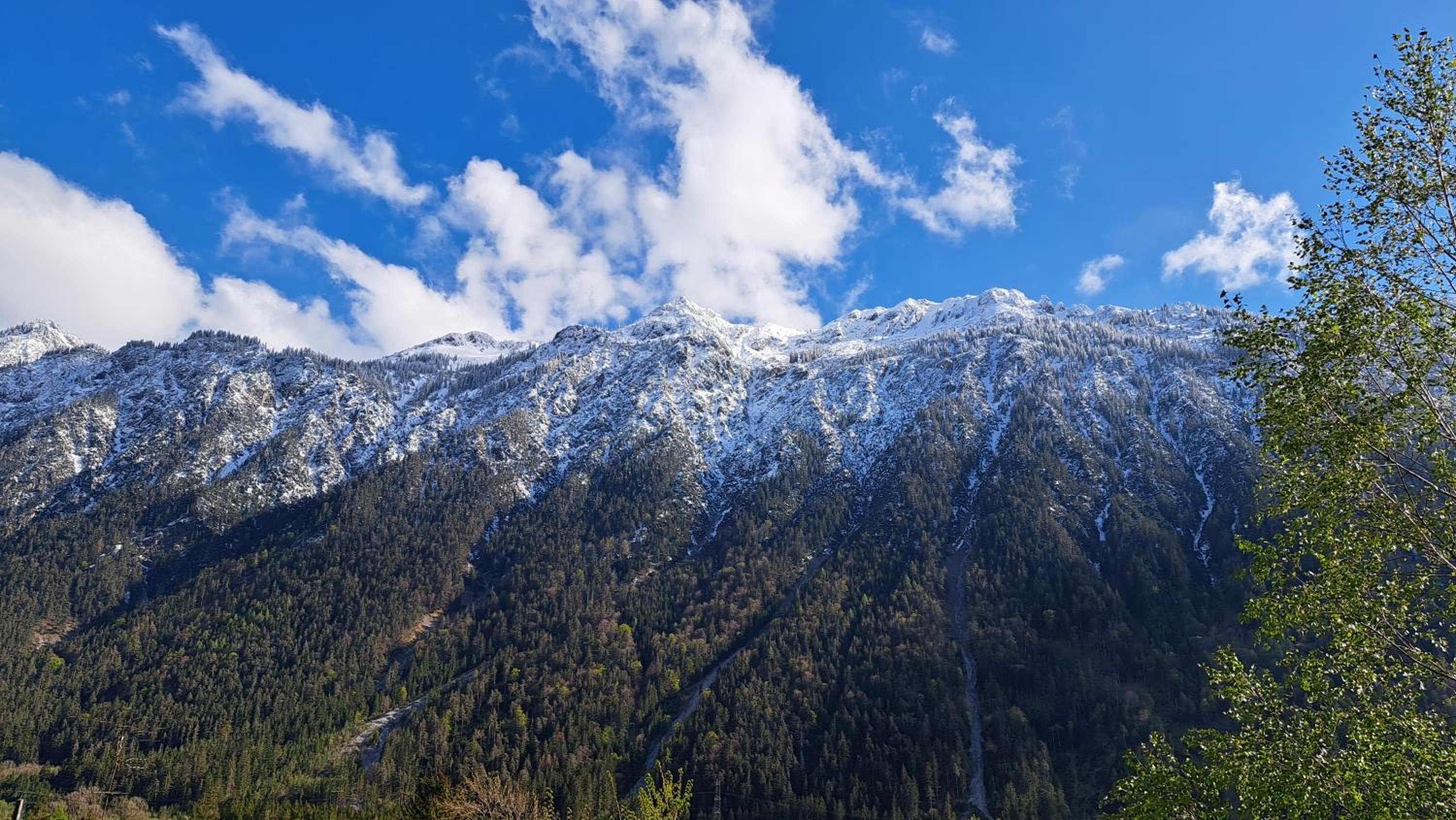 Baers Mountain Stay Außerbraz