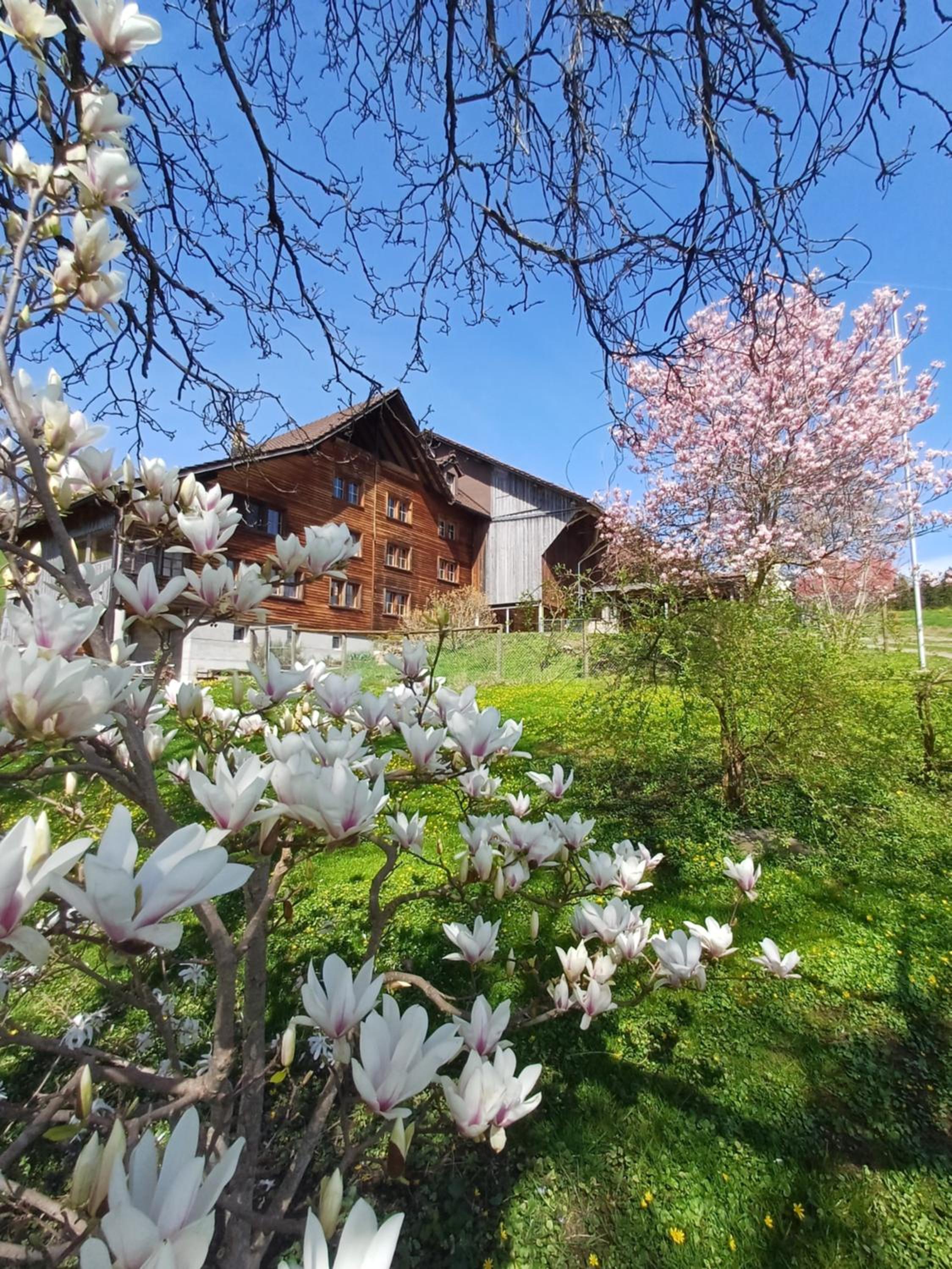 LilaLila Lodge