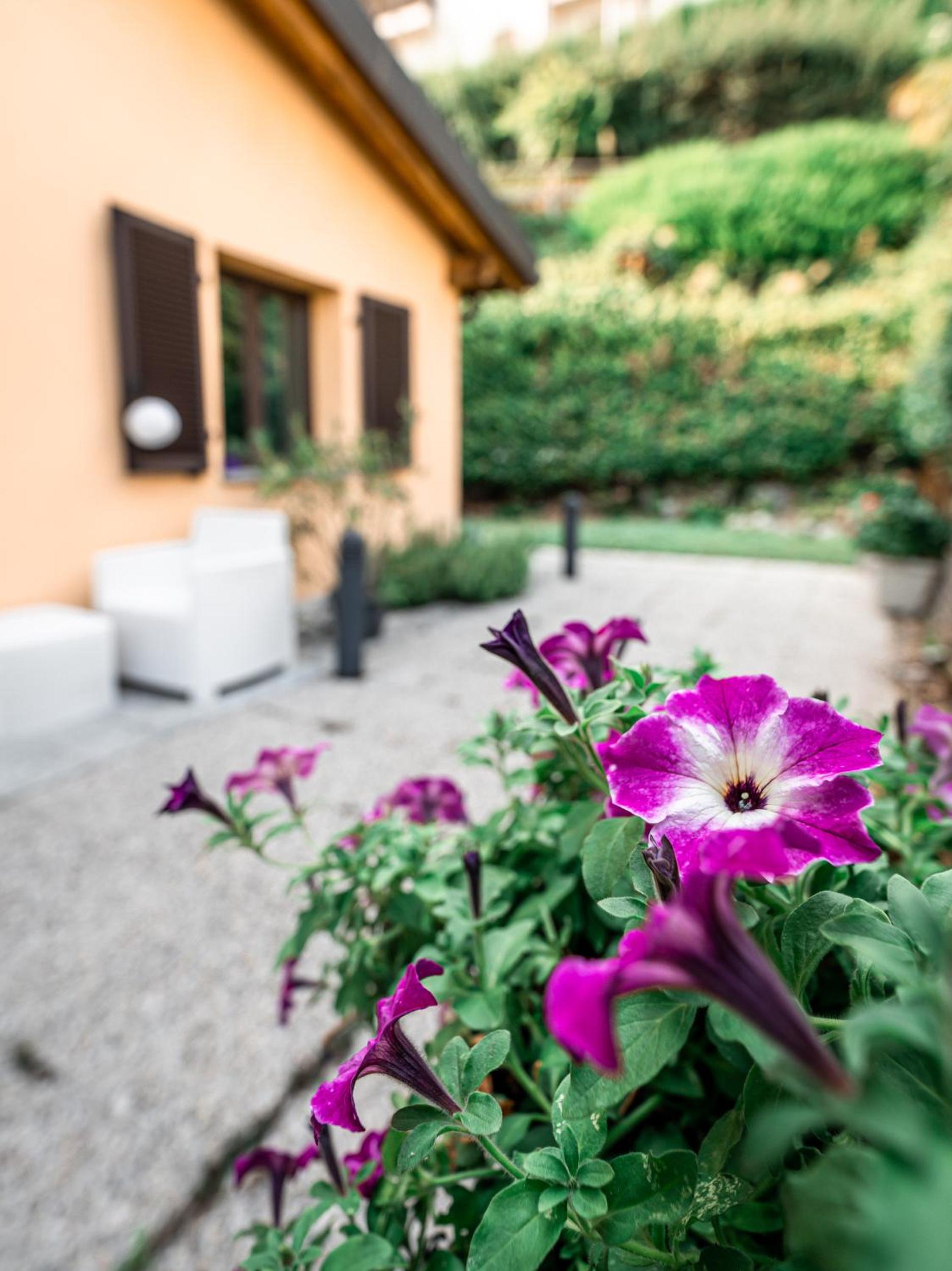 Art Maison