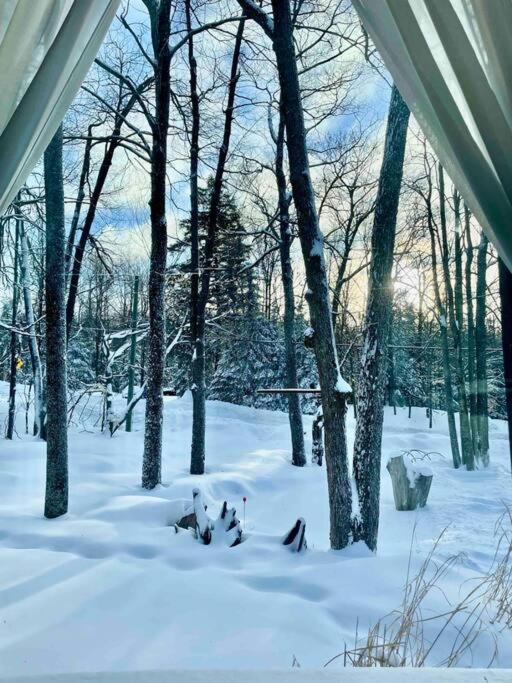 Nature Retreat w/ Sunroom Gazebo