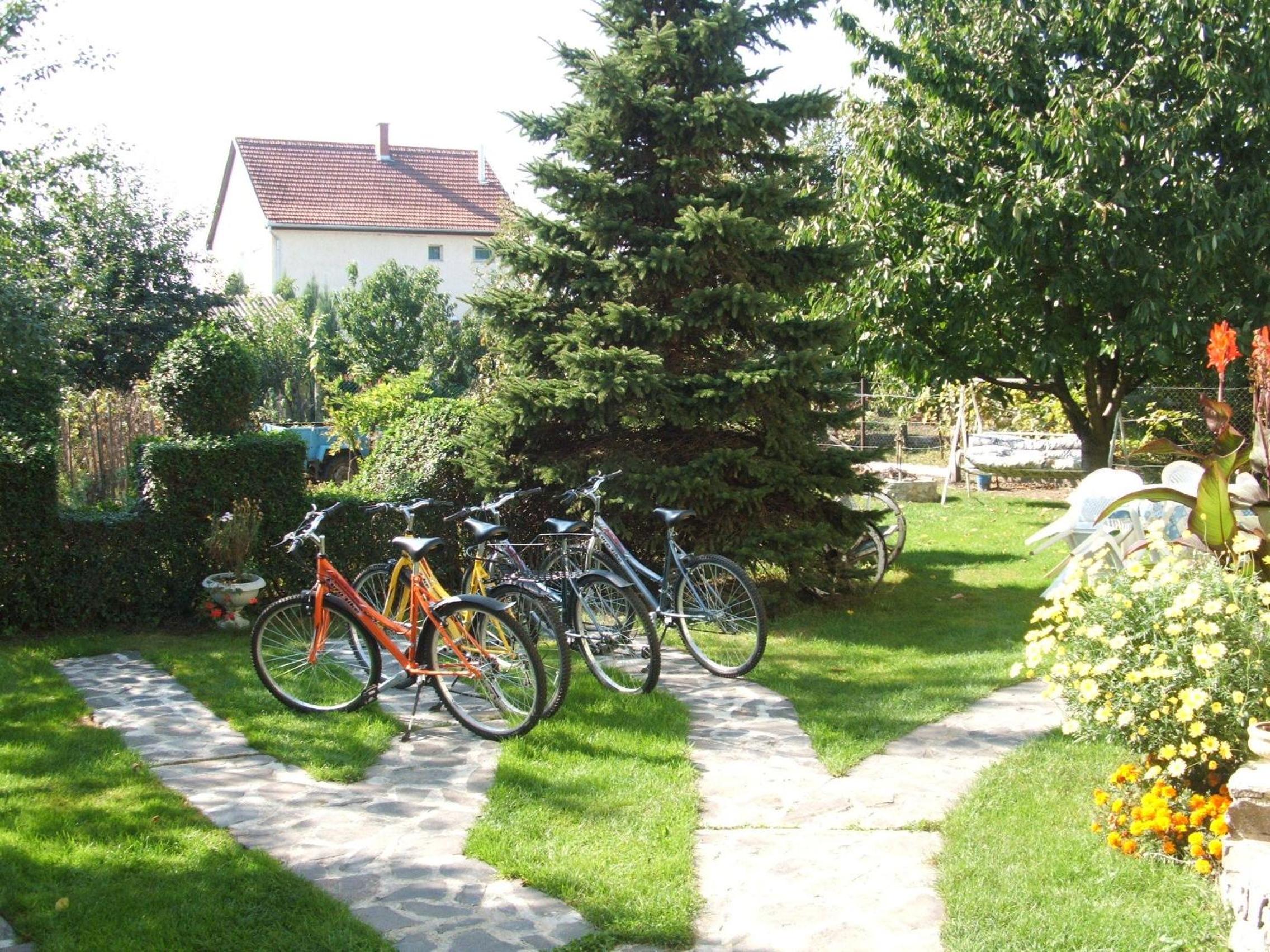 Photo 23