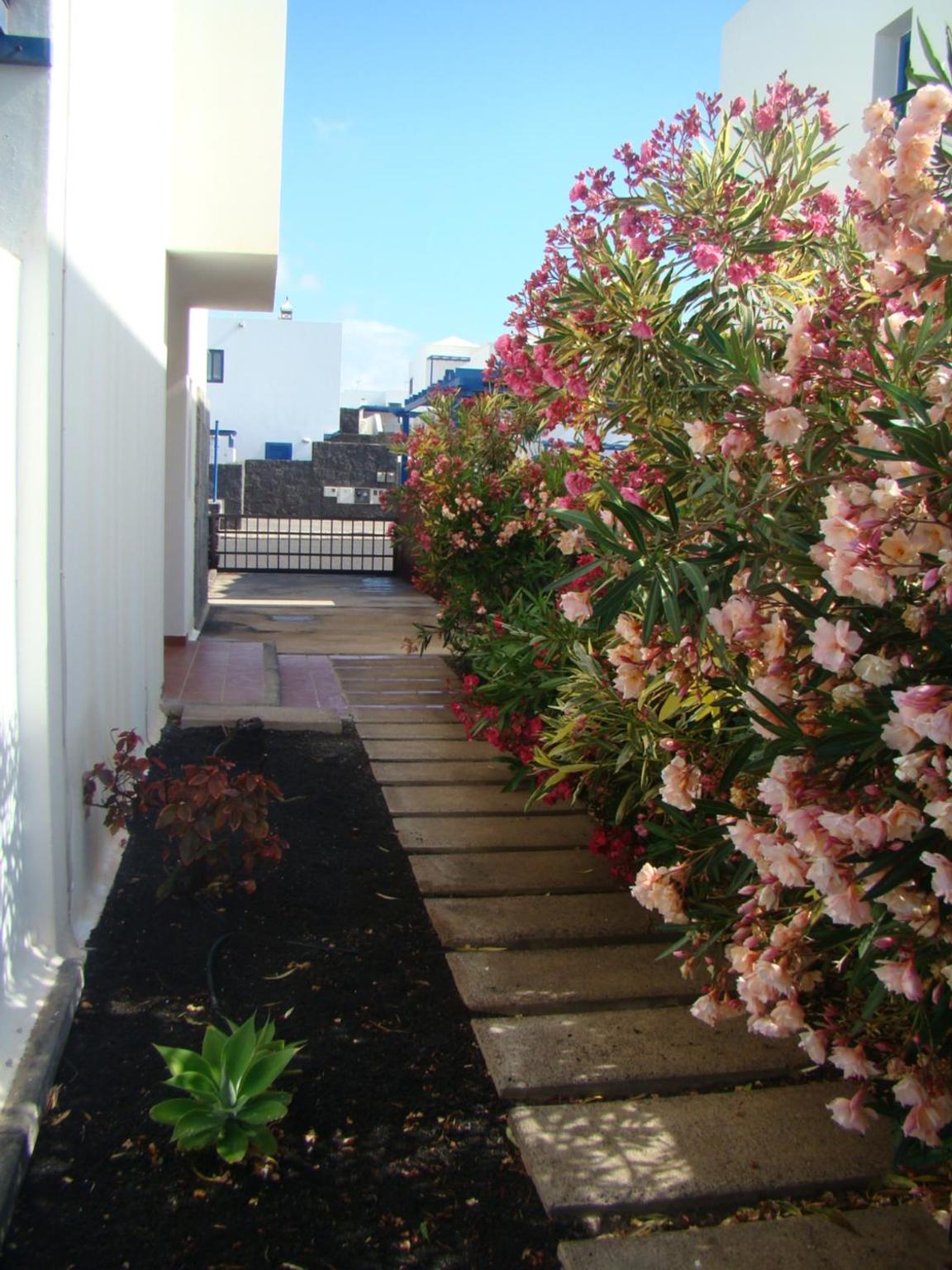 Photo 45