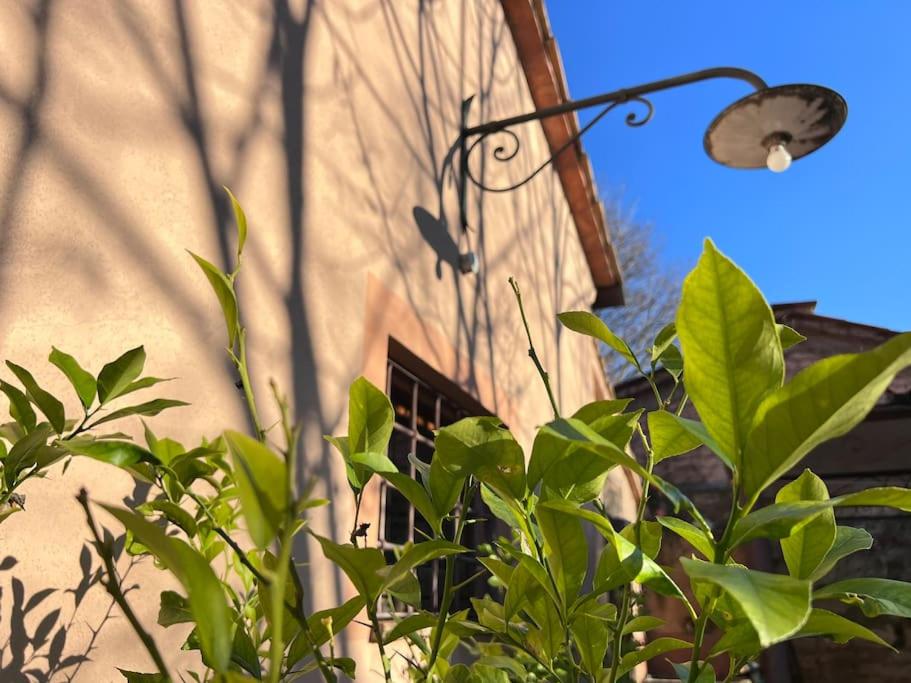 Villa Farrattini Amelia