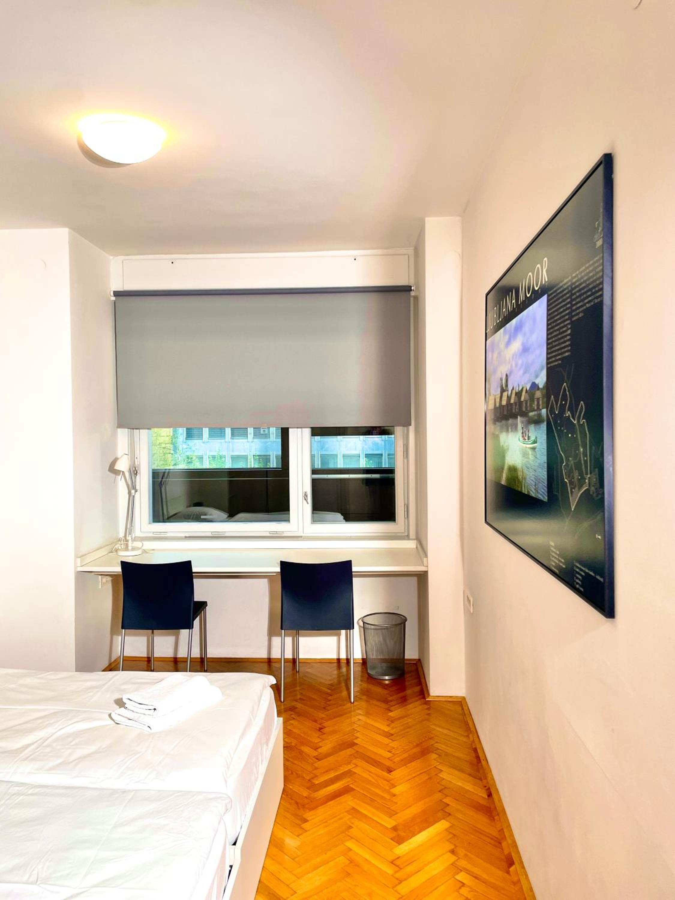 Apartment KOZOLEC - best central location view 2