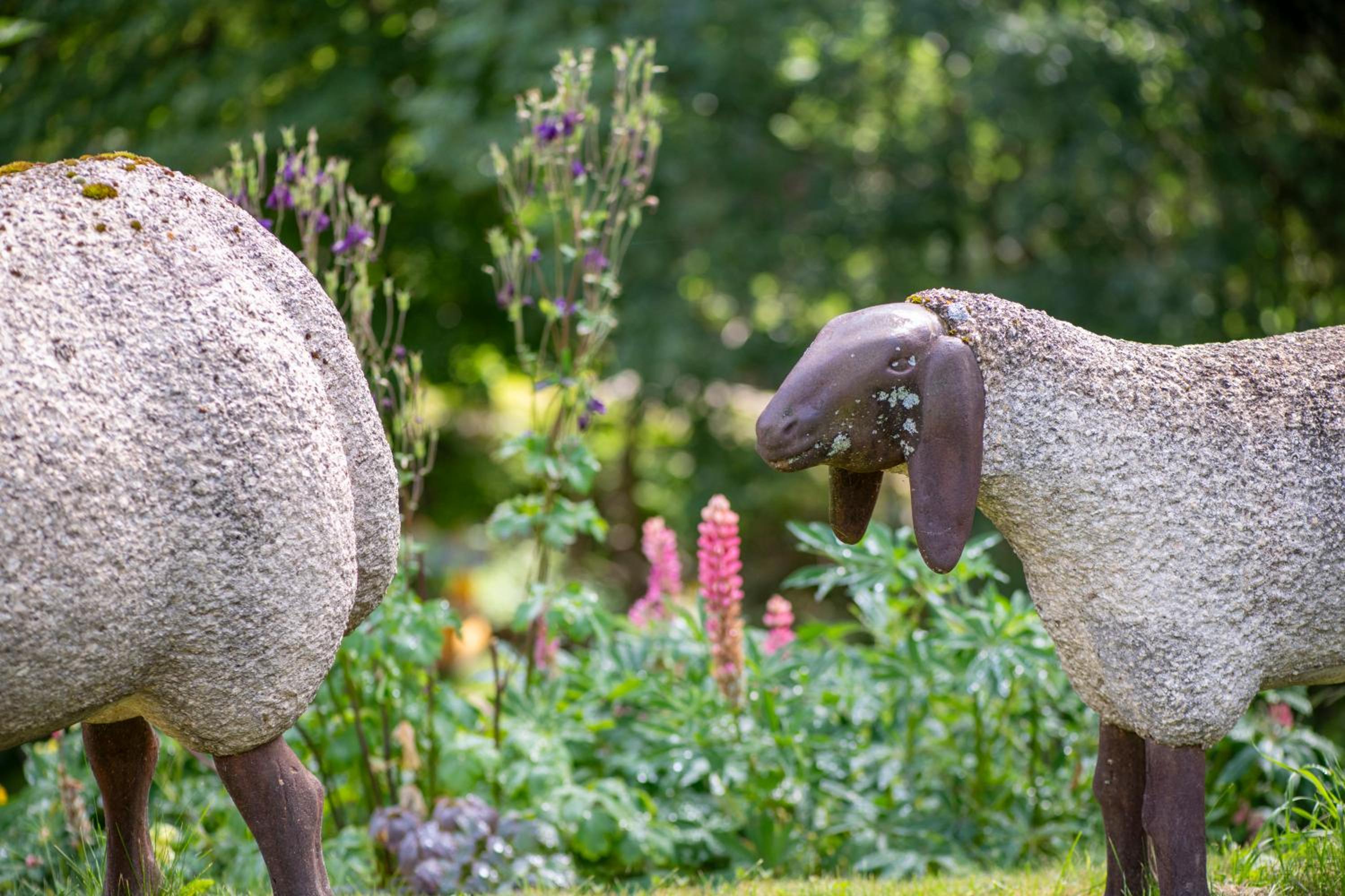 Chalet Cinq Moutons