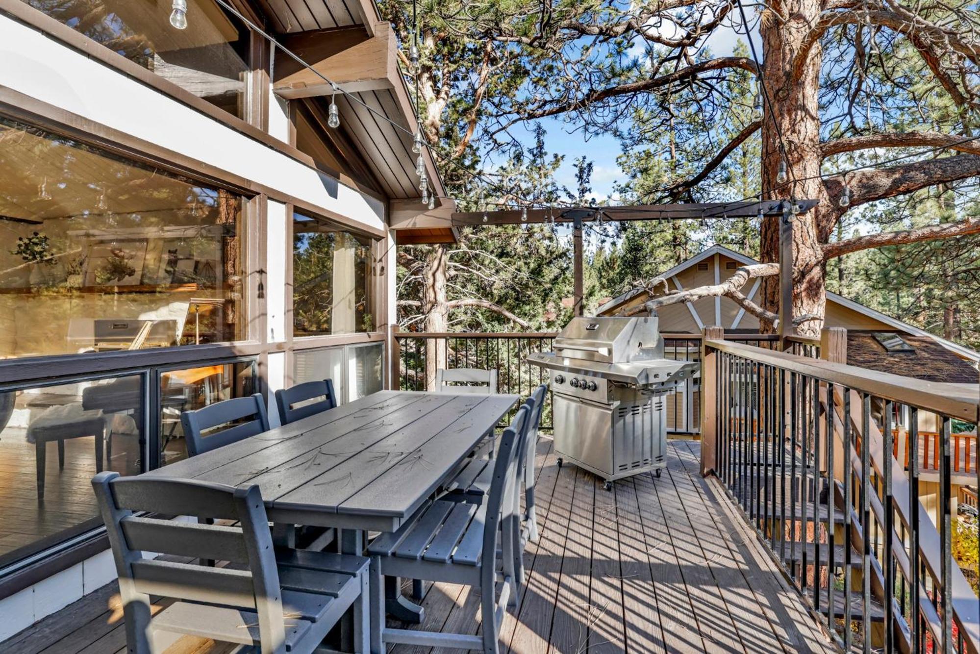 Soaring pines #2193