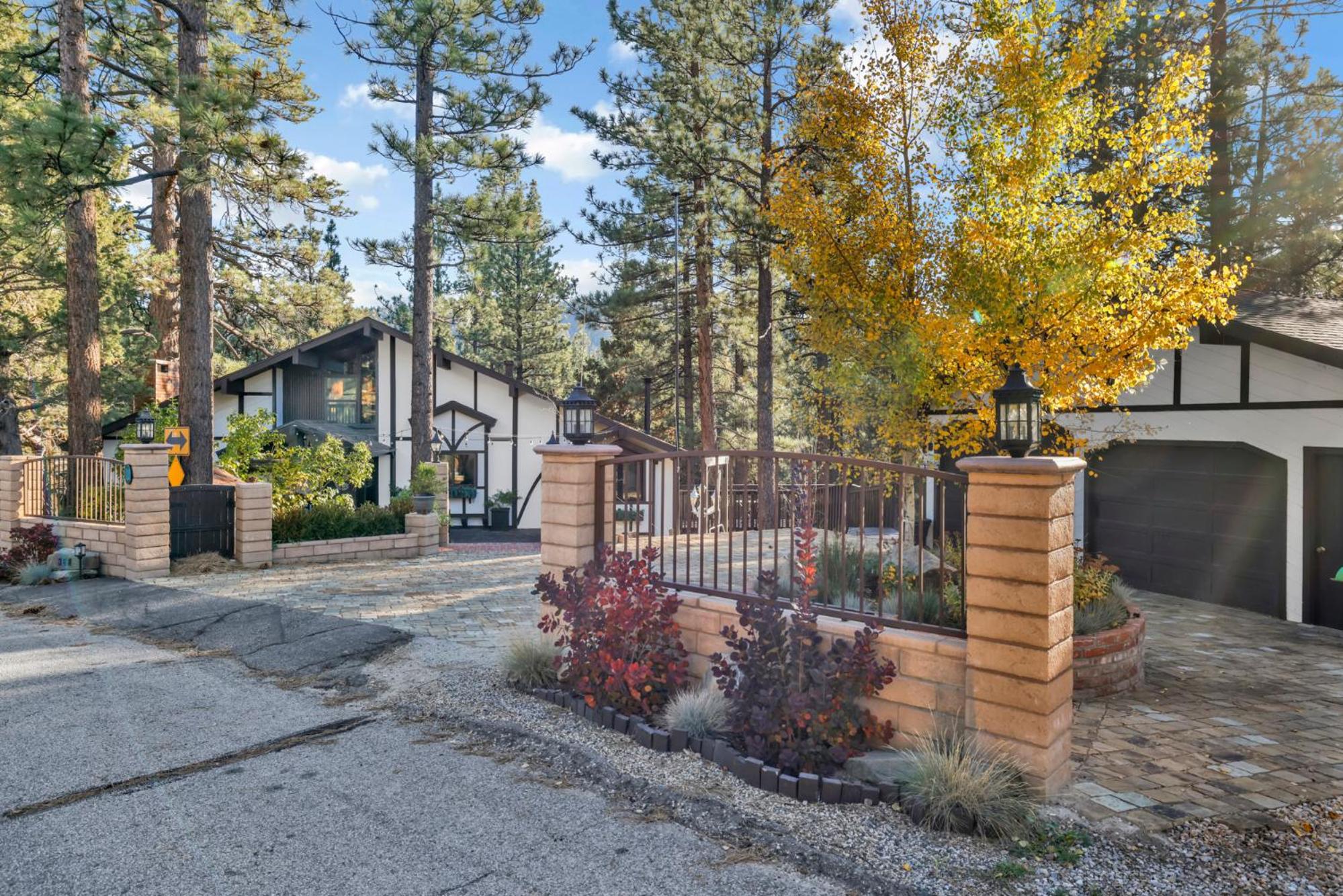 Soaring pines #2193