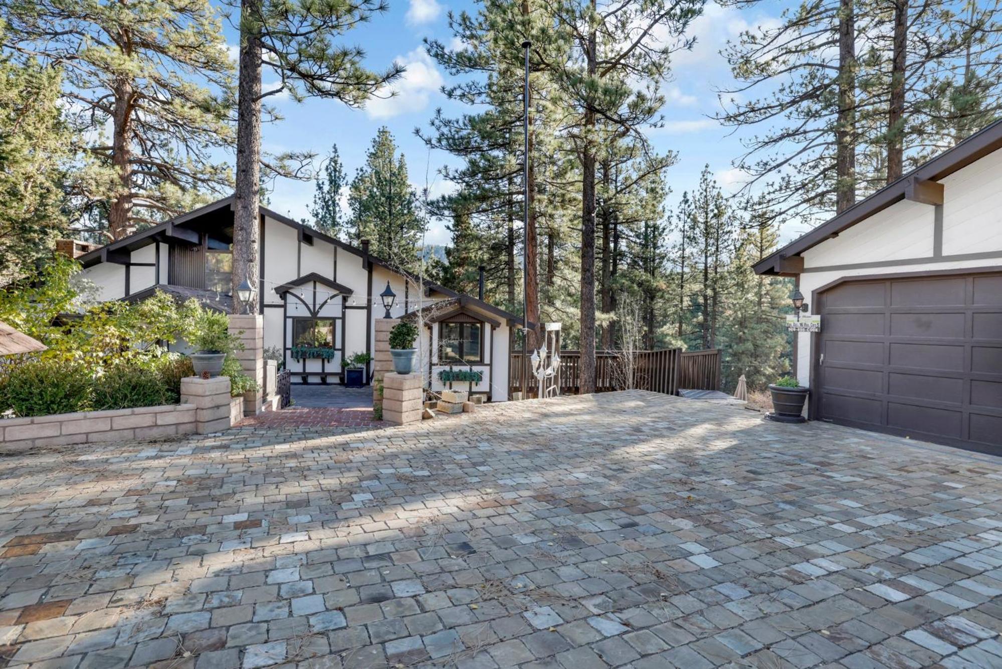 Soaring pines #2193