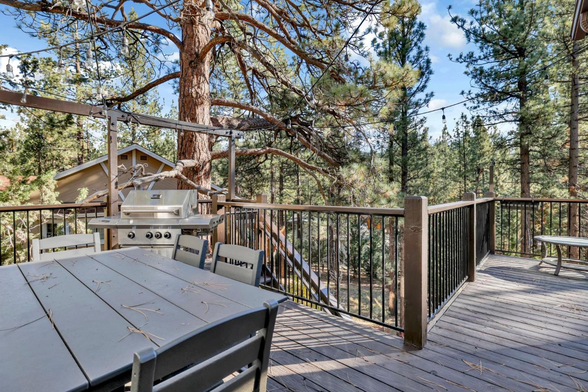 Soaring pines #2193