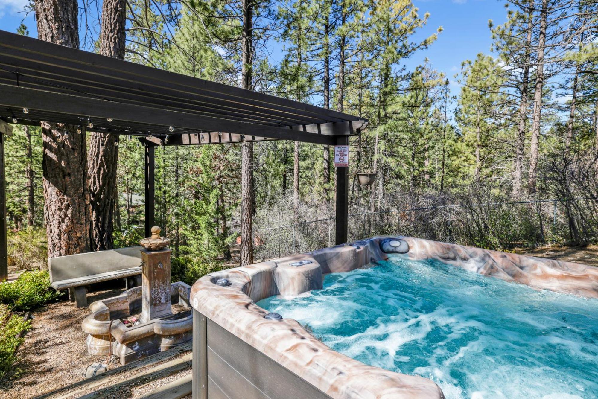 Soaring pines #2193