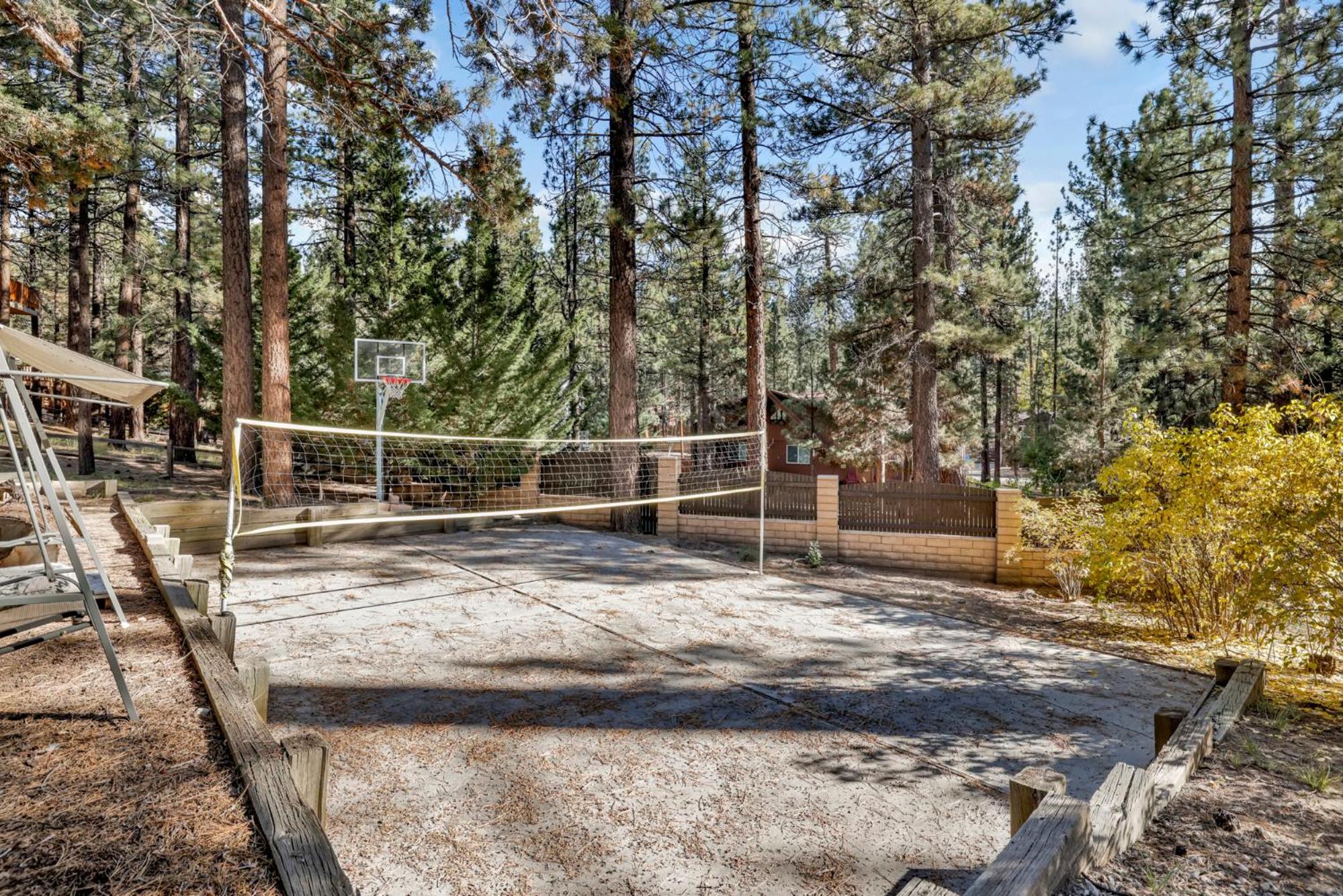 Soaring pines #2193