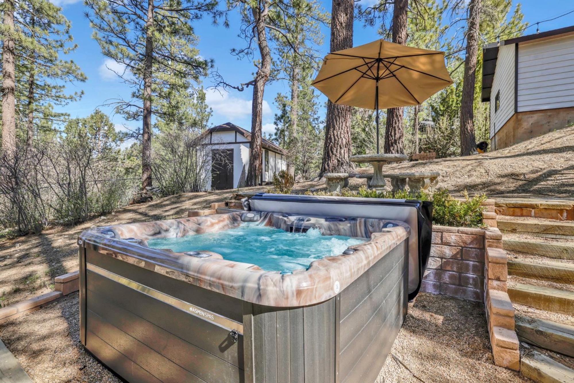 Soaring pines #2193