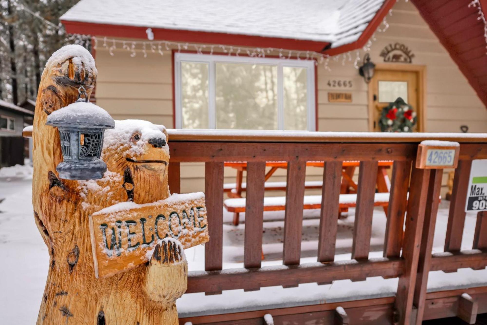 Knotty bear #1540 view 5