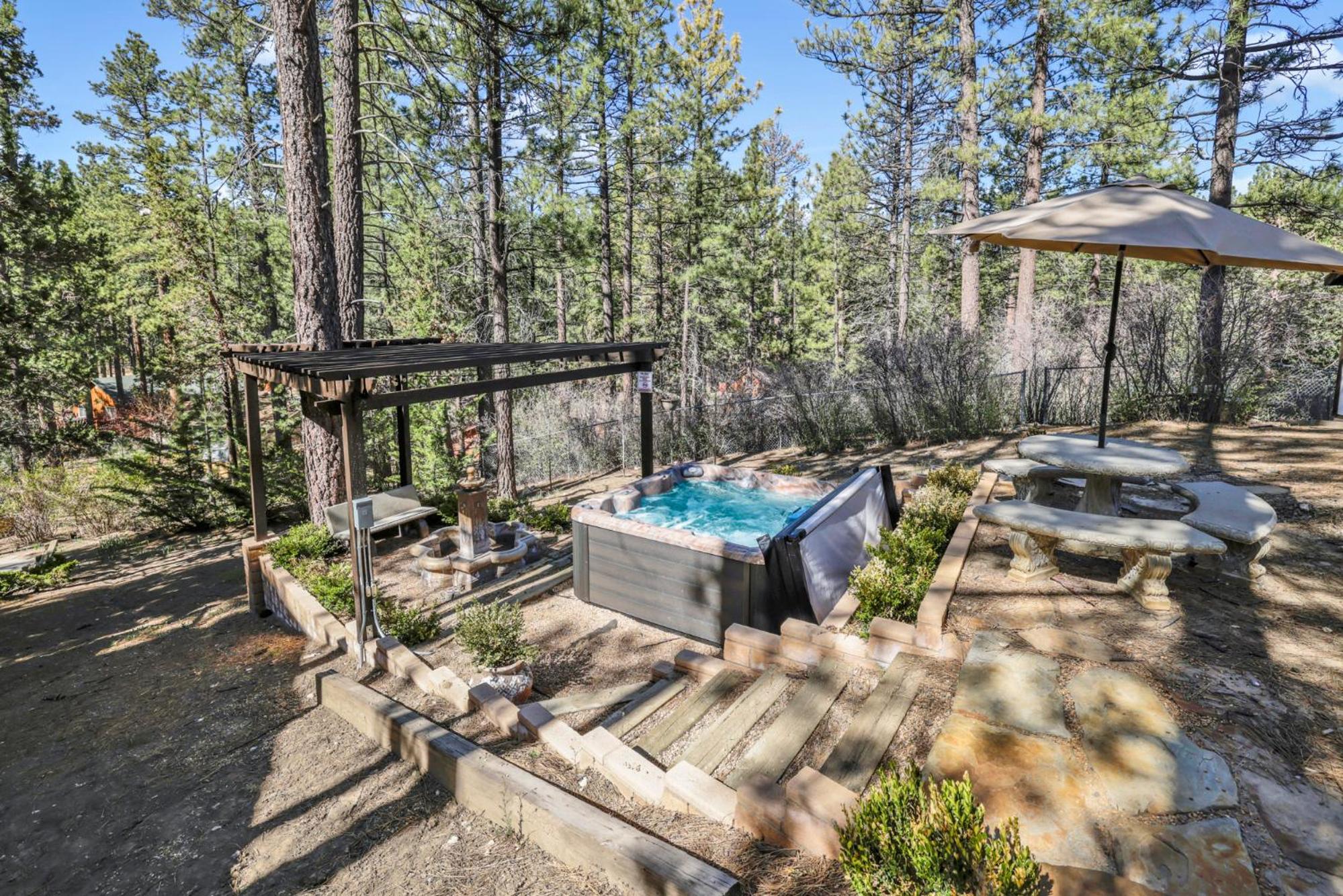 Soaring pines #2193