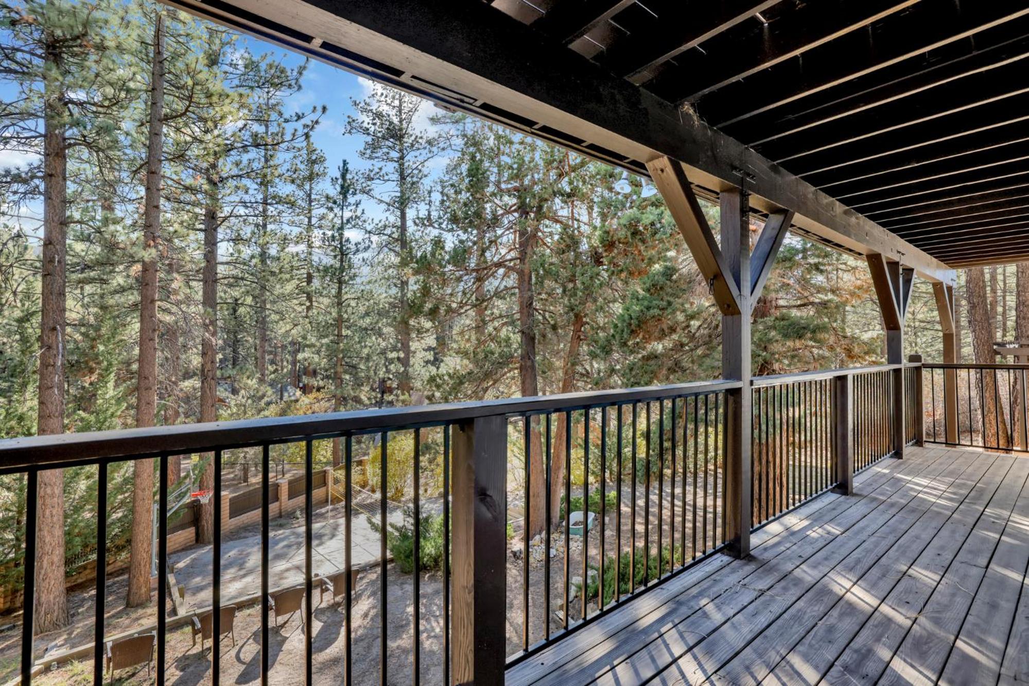 Soaring pines #2193