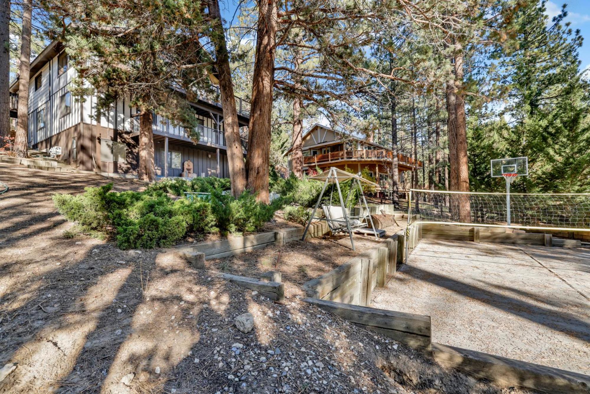 Soaring pines #2193