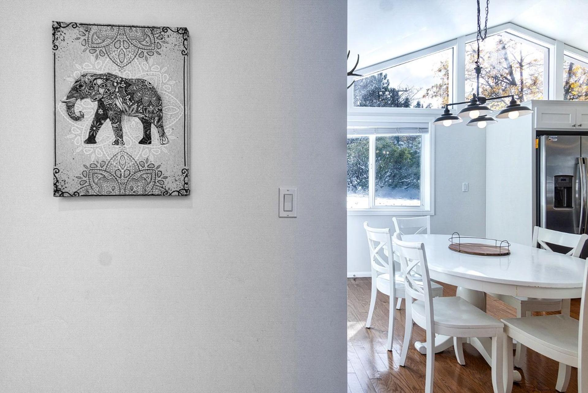 Mountain modern #1743