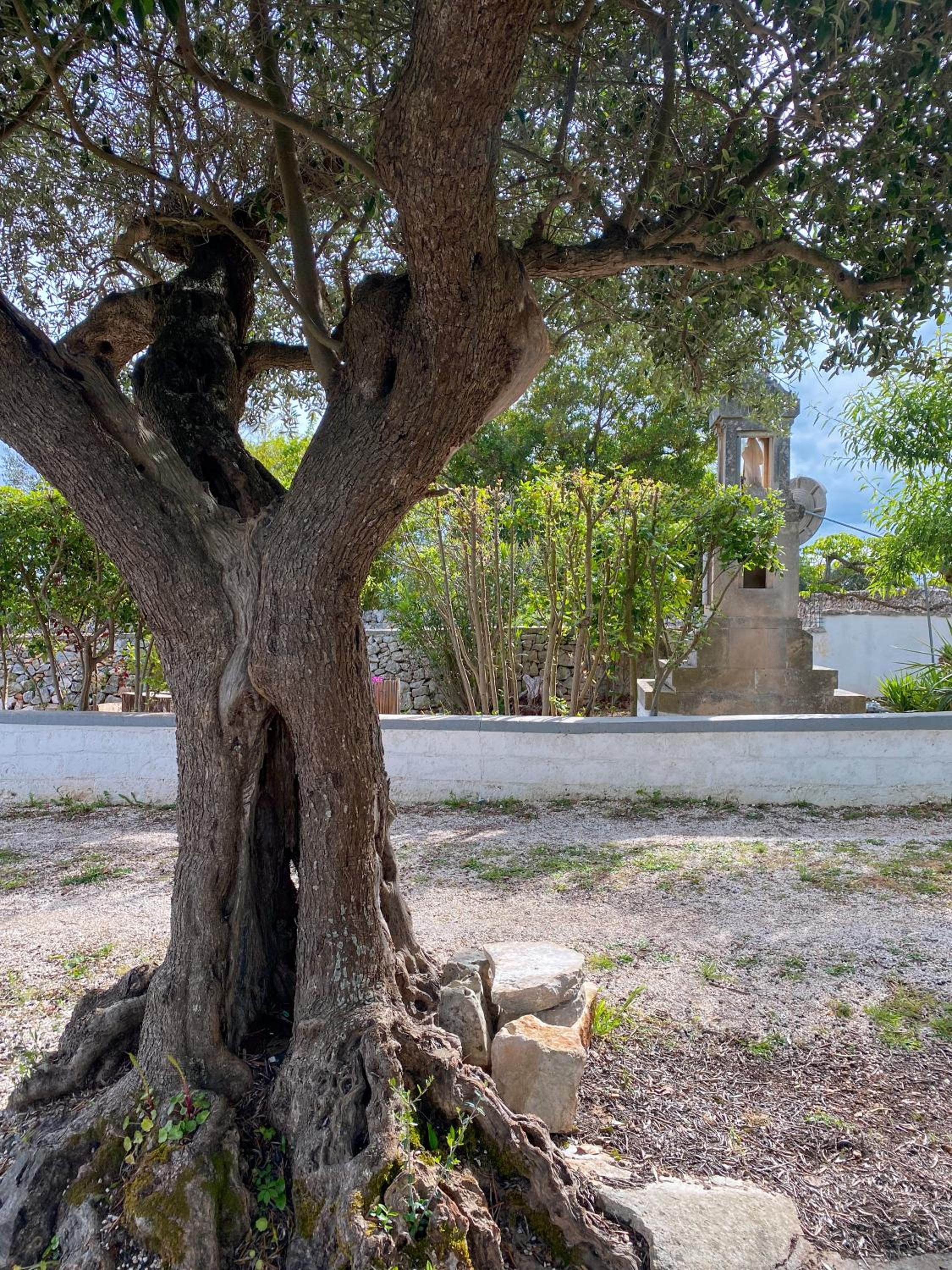 Photo 46
