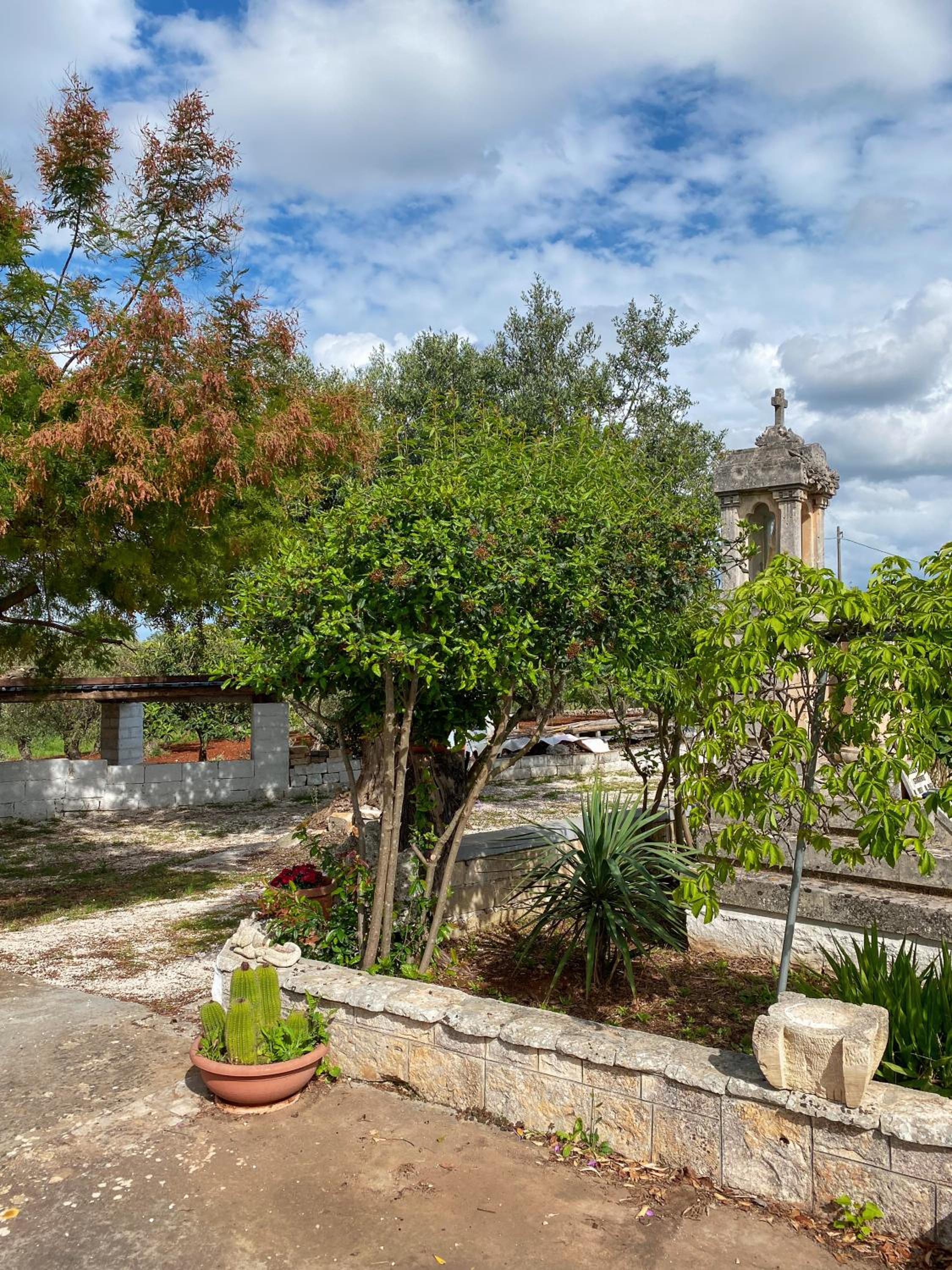 Photo 48