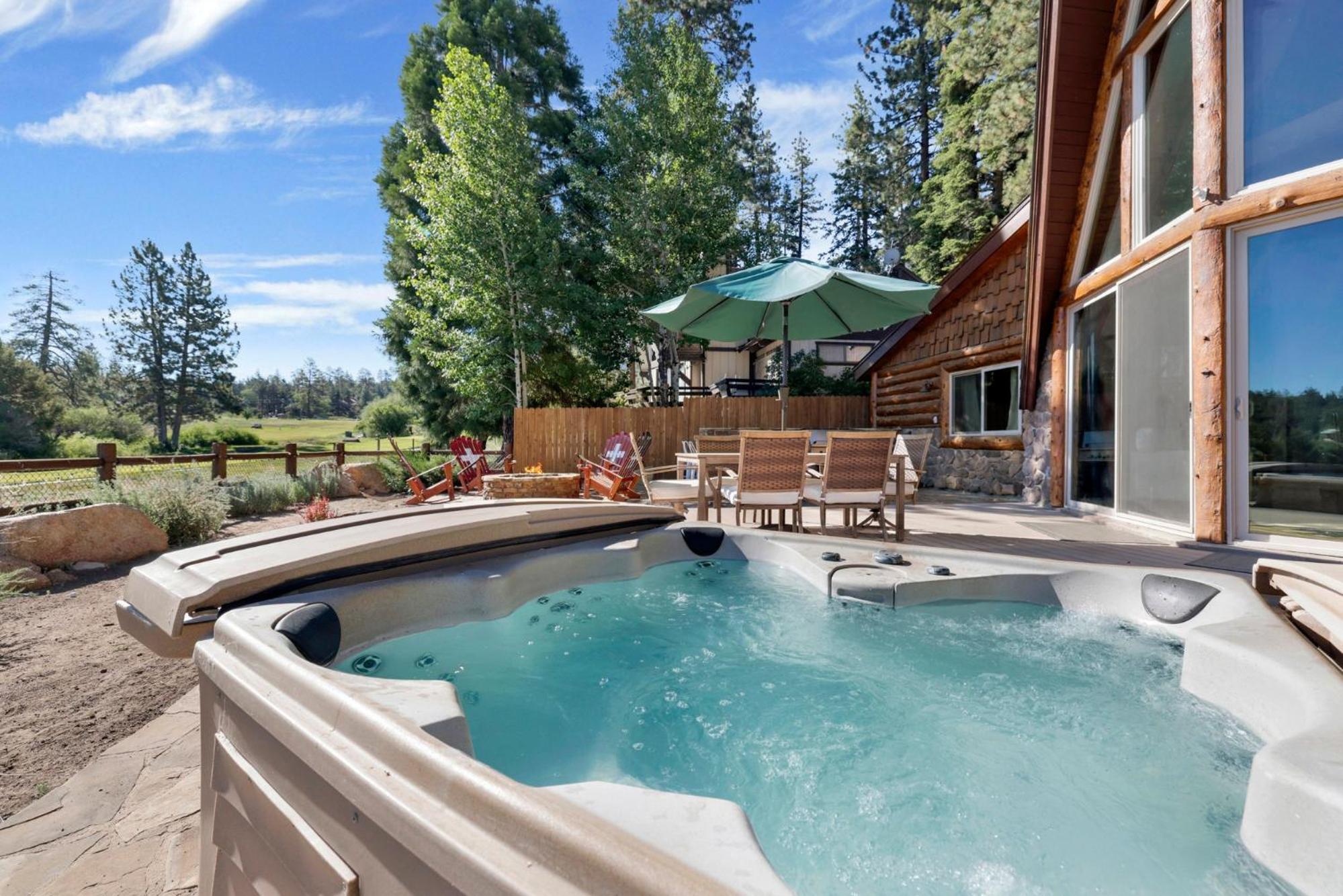 Big bear den #2152