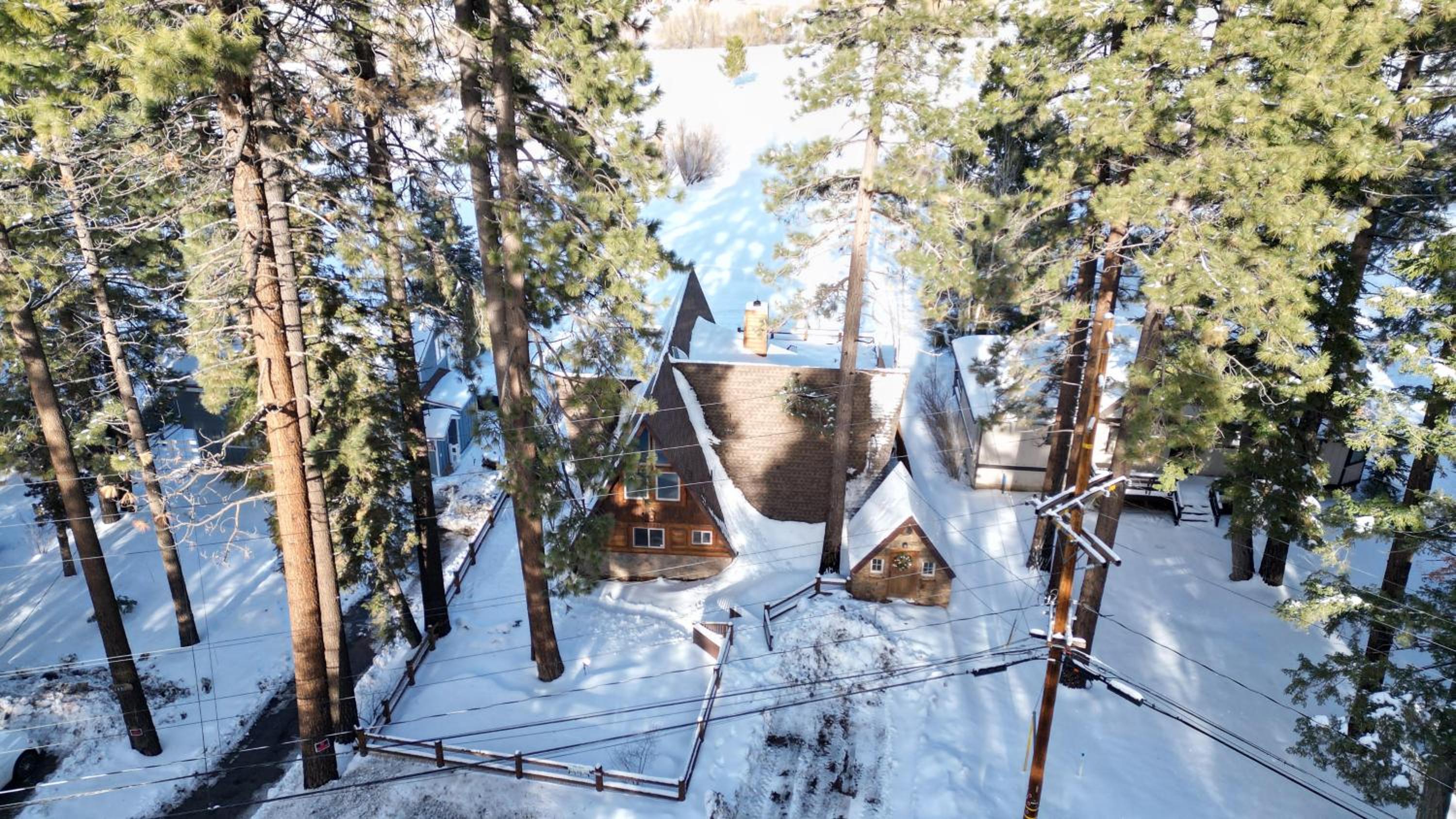 Big bear den #2152