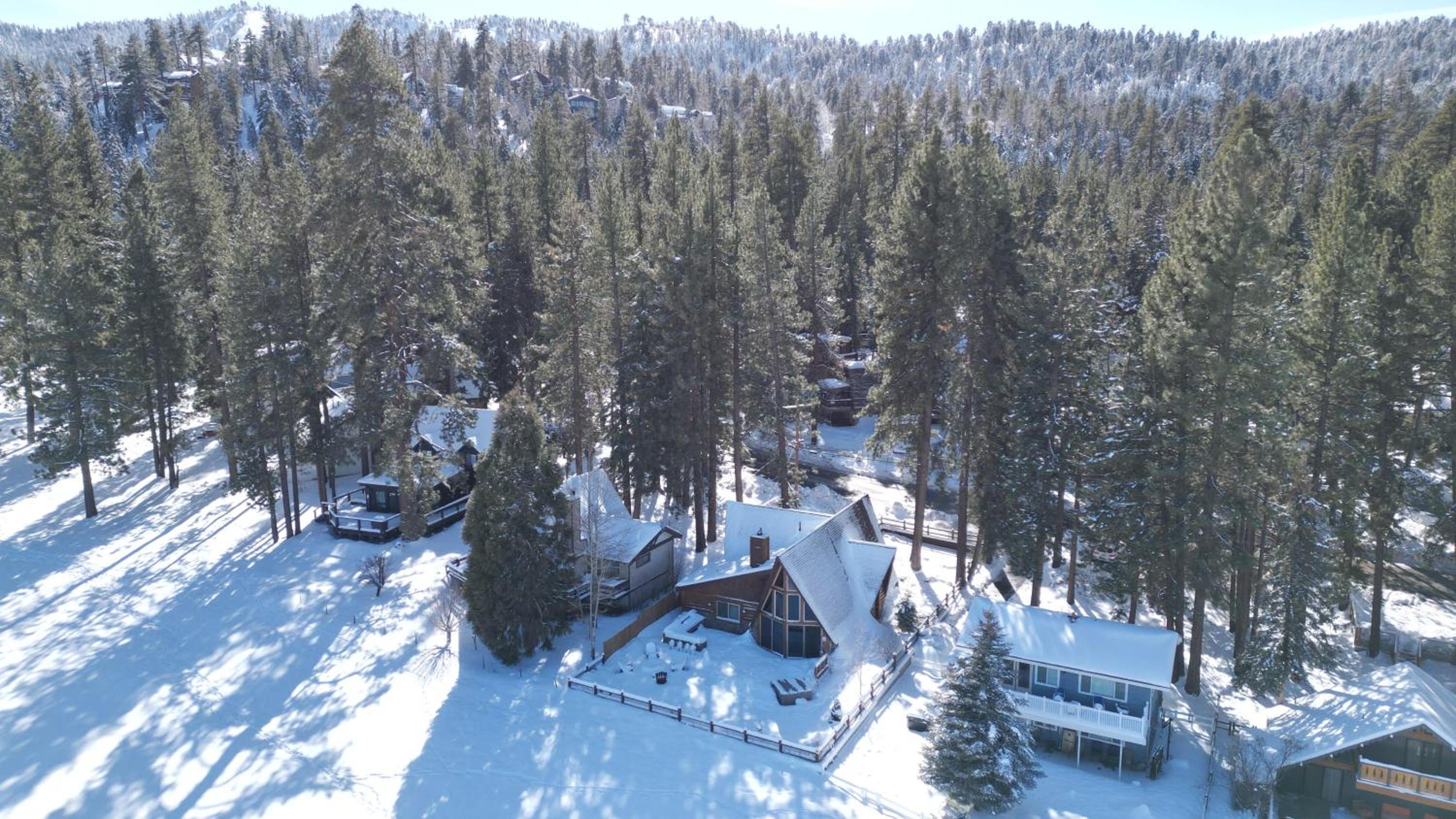 Big bear den #2152