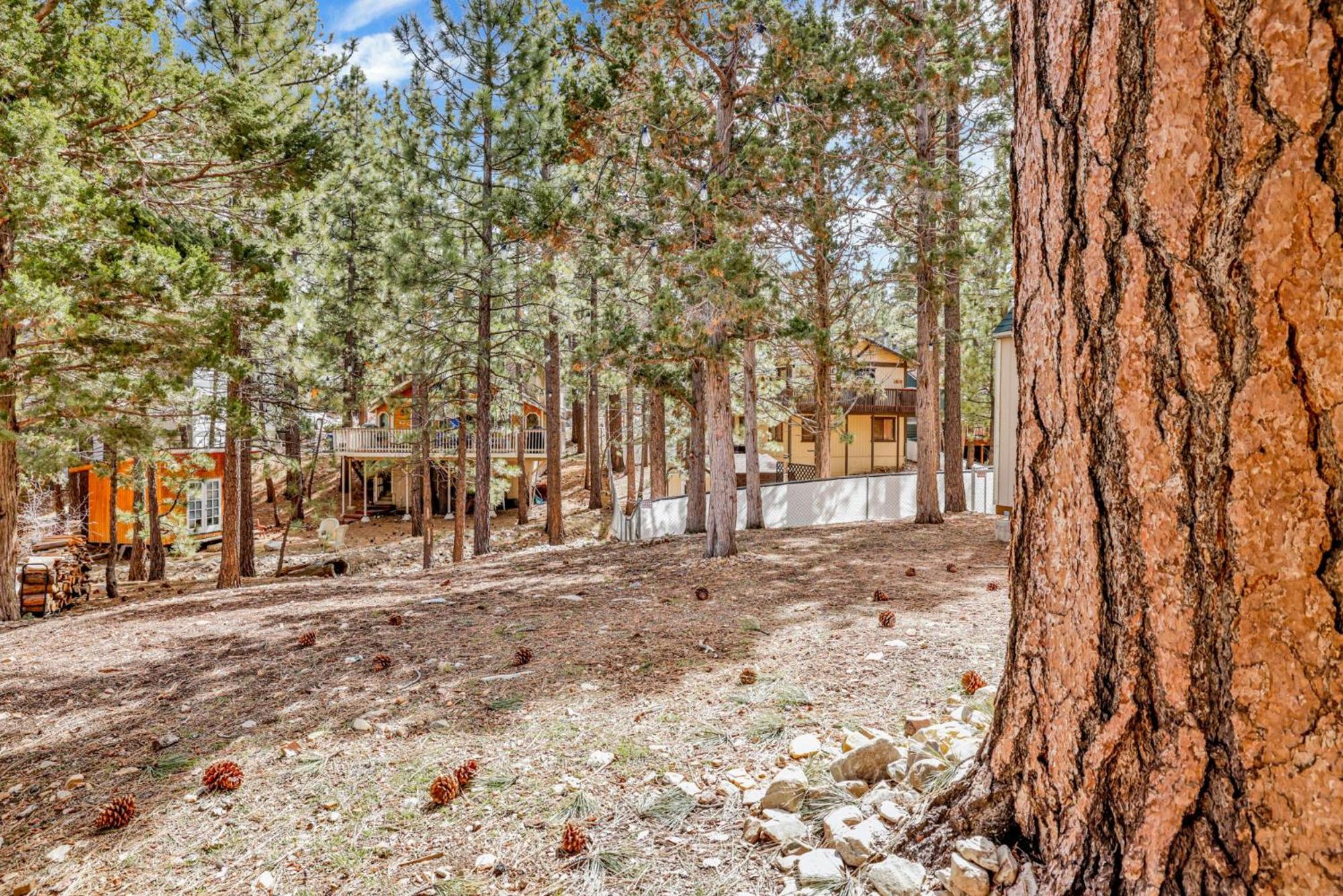 Bruin chalet #2464