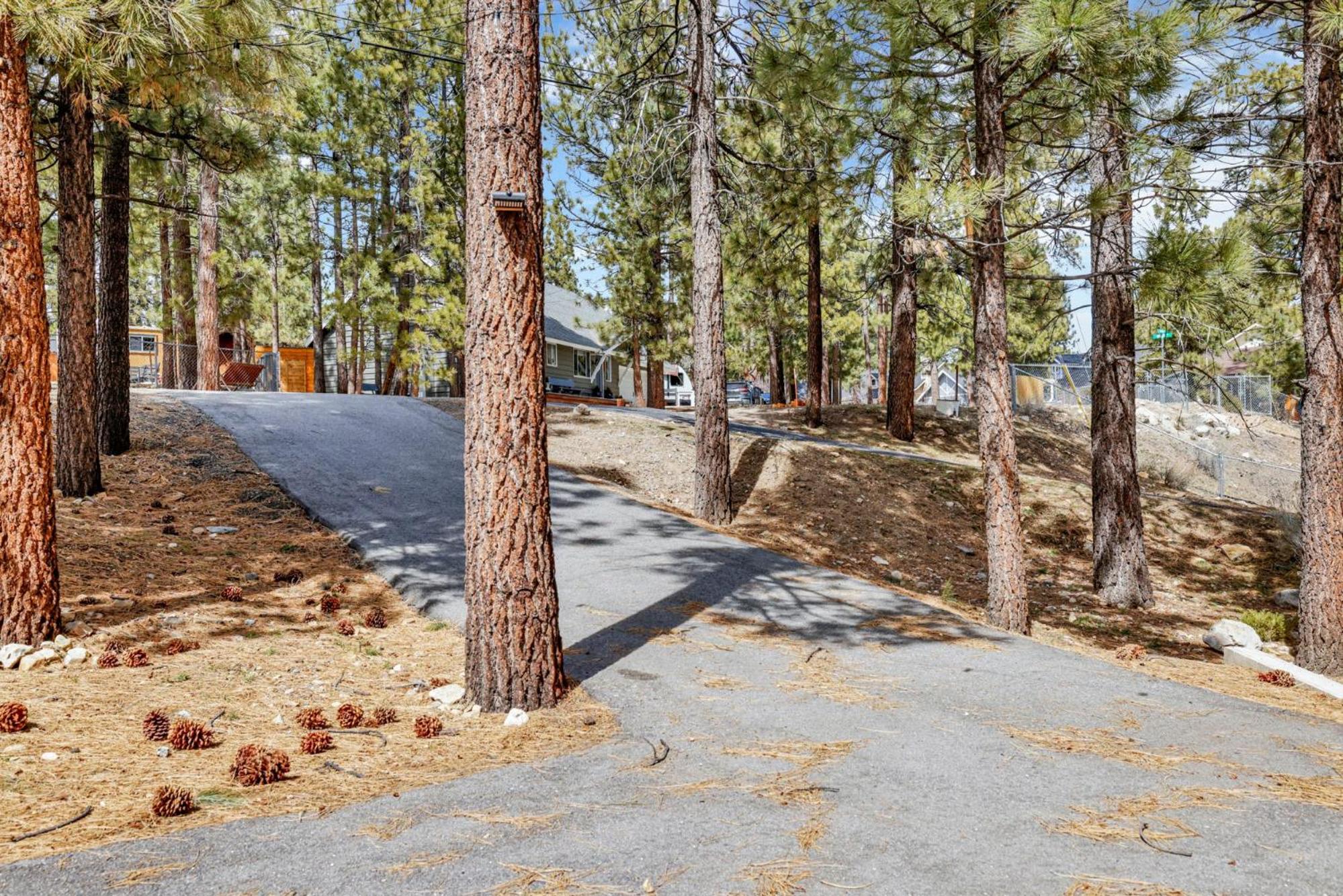 Bruin chalet #2464
