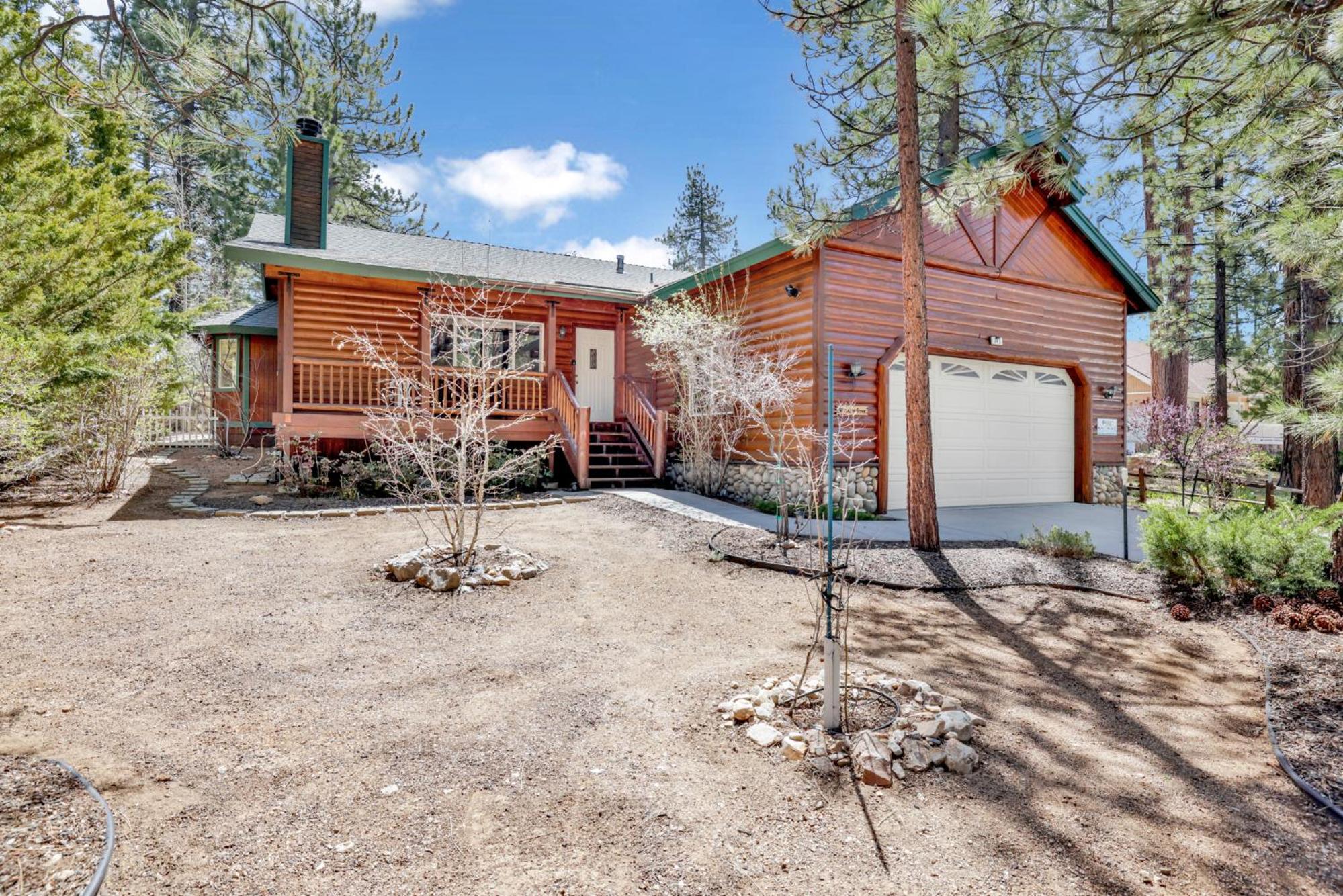 Aspen grove #1041