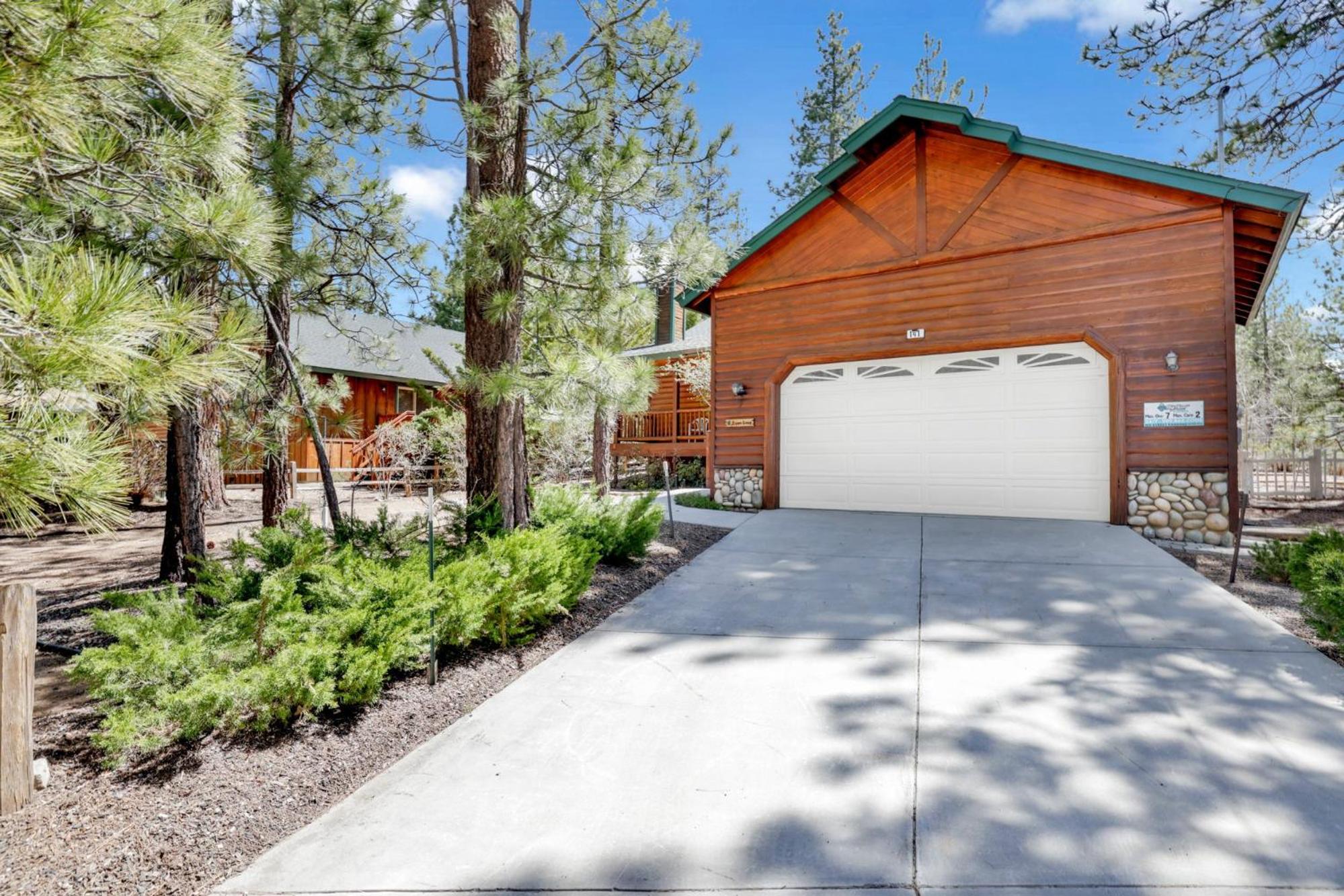 Aspen grove #1041