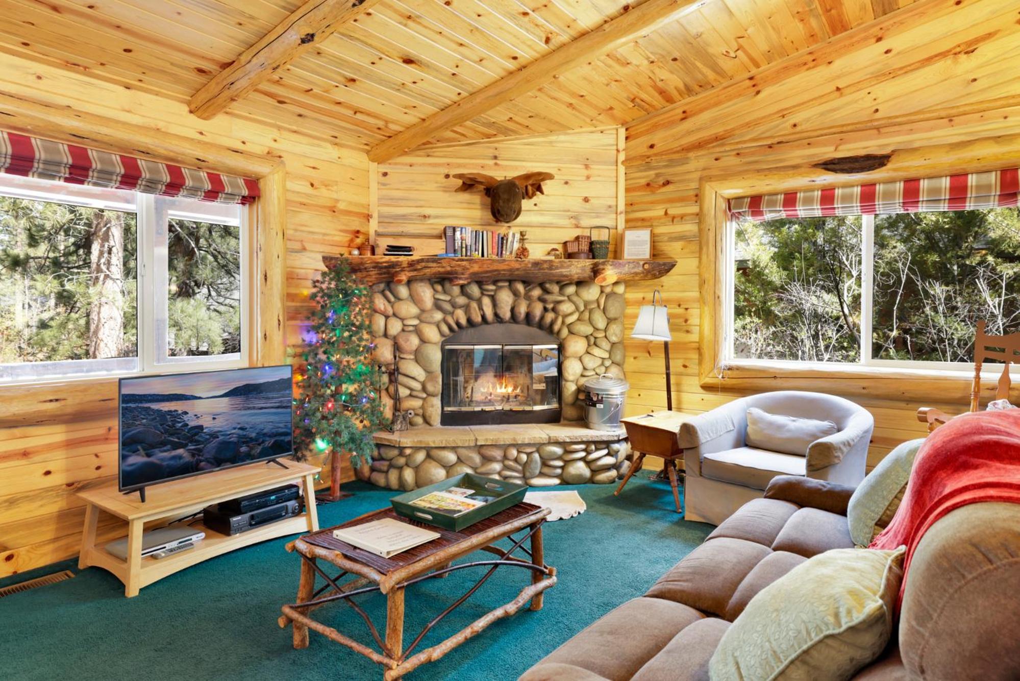Aspen grove #1041