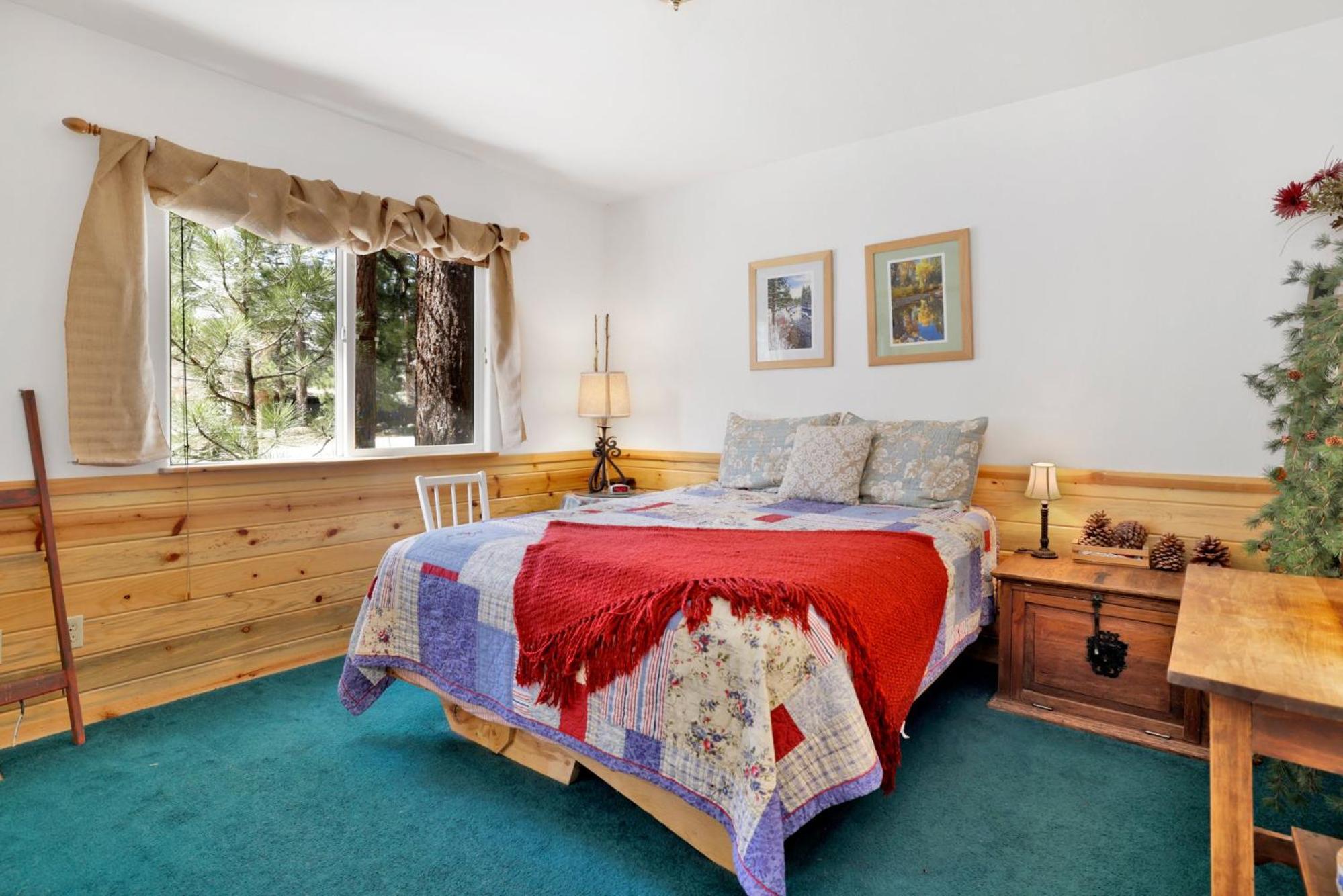 Aspen grove #1041