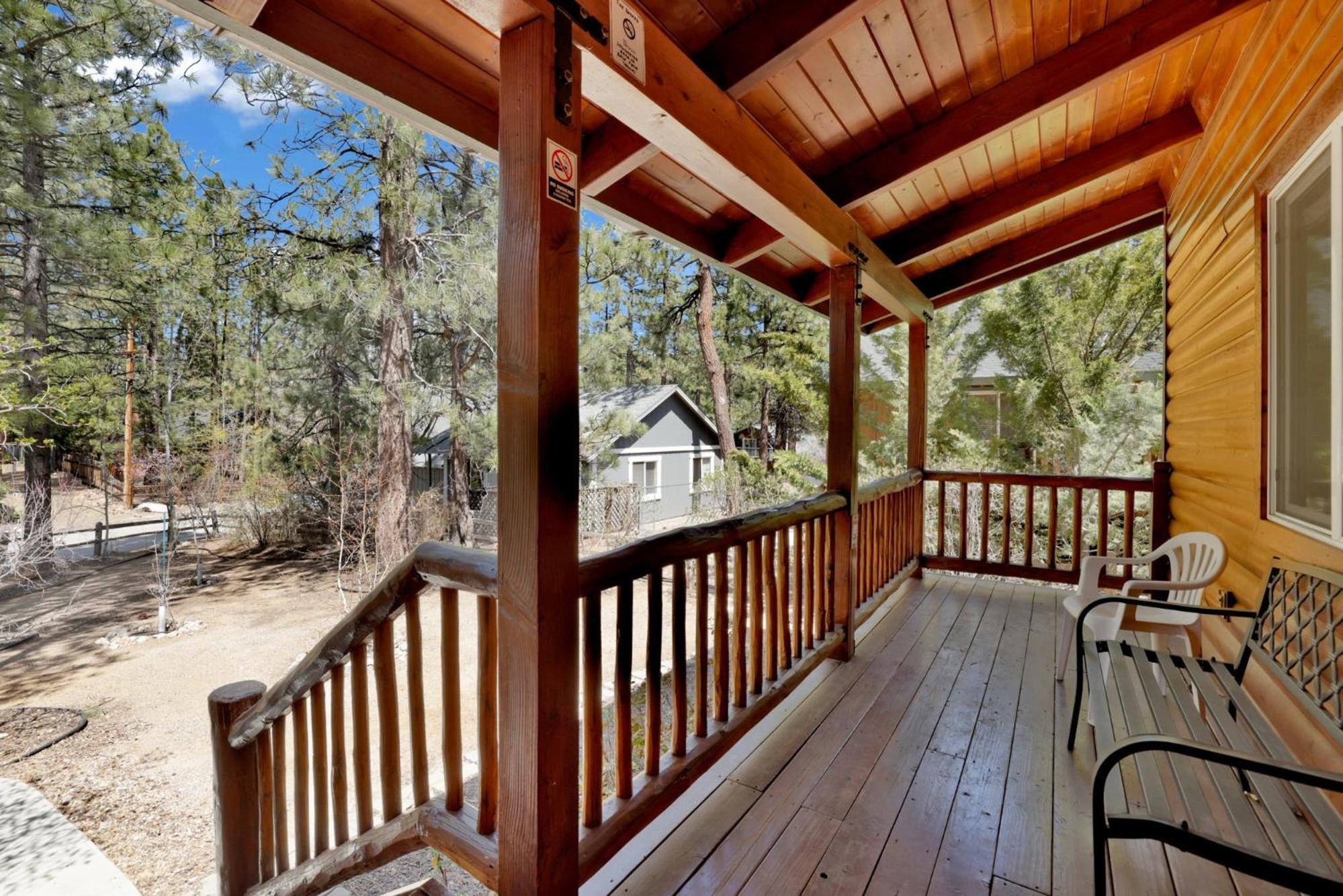 Aspen grove #1041