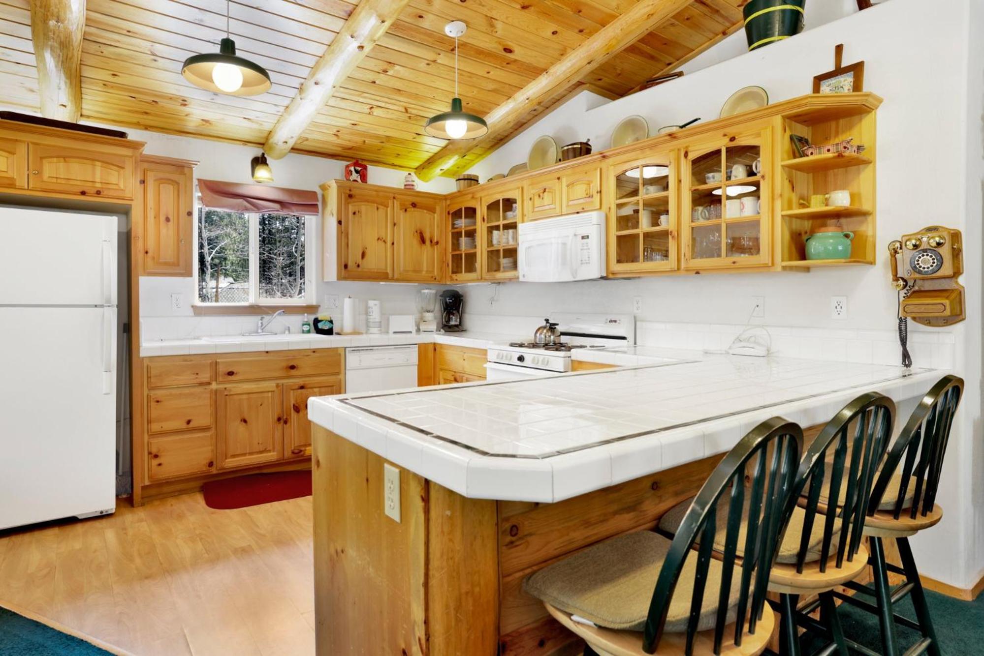 Aspen grove #1041