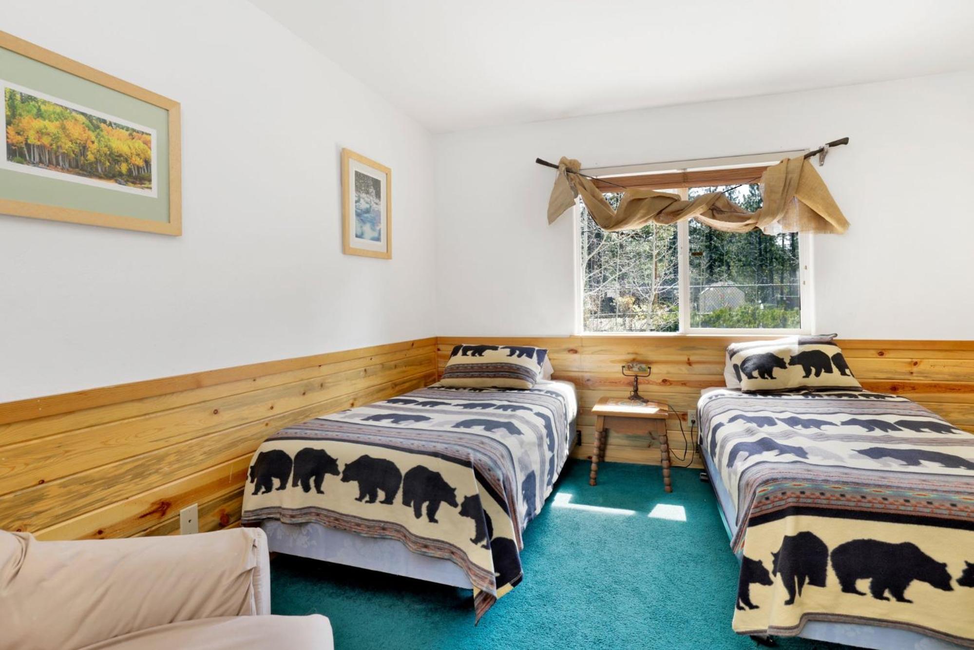 Aspen grove #1041
